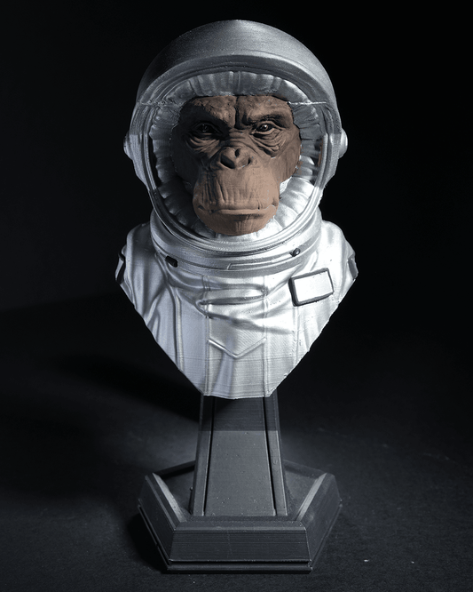 0372 - Intergalactic Monkey Crew