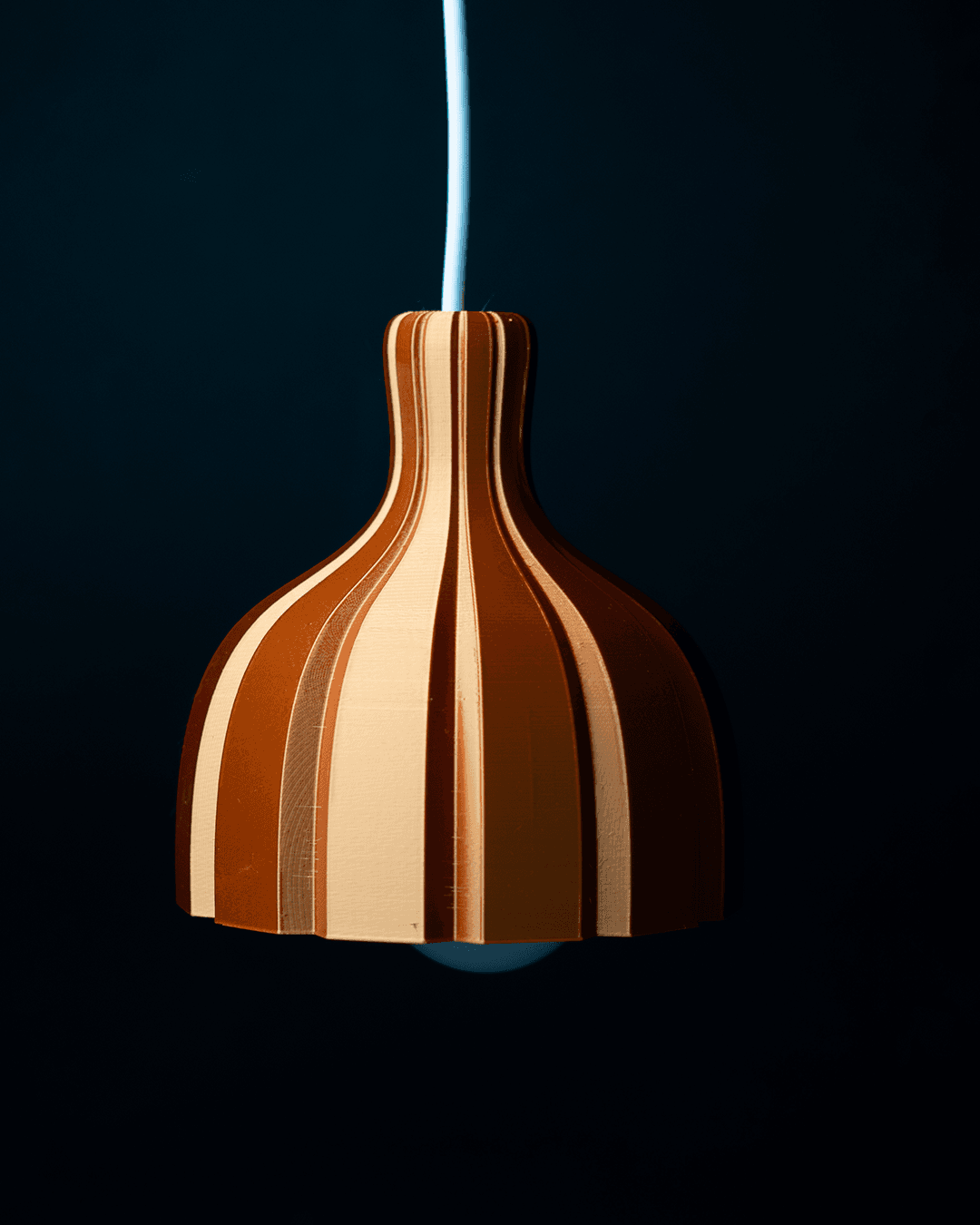 0214 - Custom Pendant Light