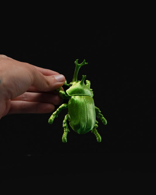 0714 - Beetles on the Wall Rhino