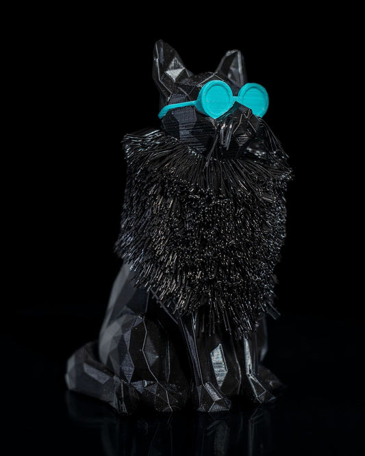 0850 - Missy the Maine Coon