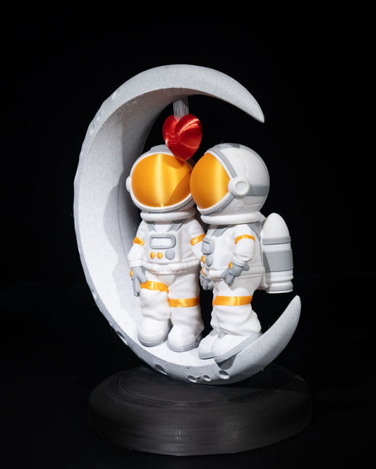 1361 - Space Explorers Couple