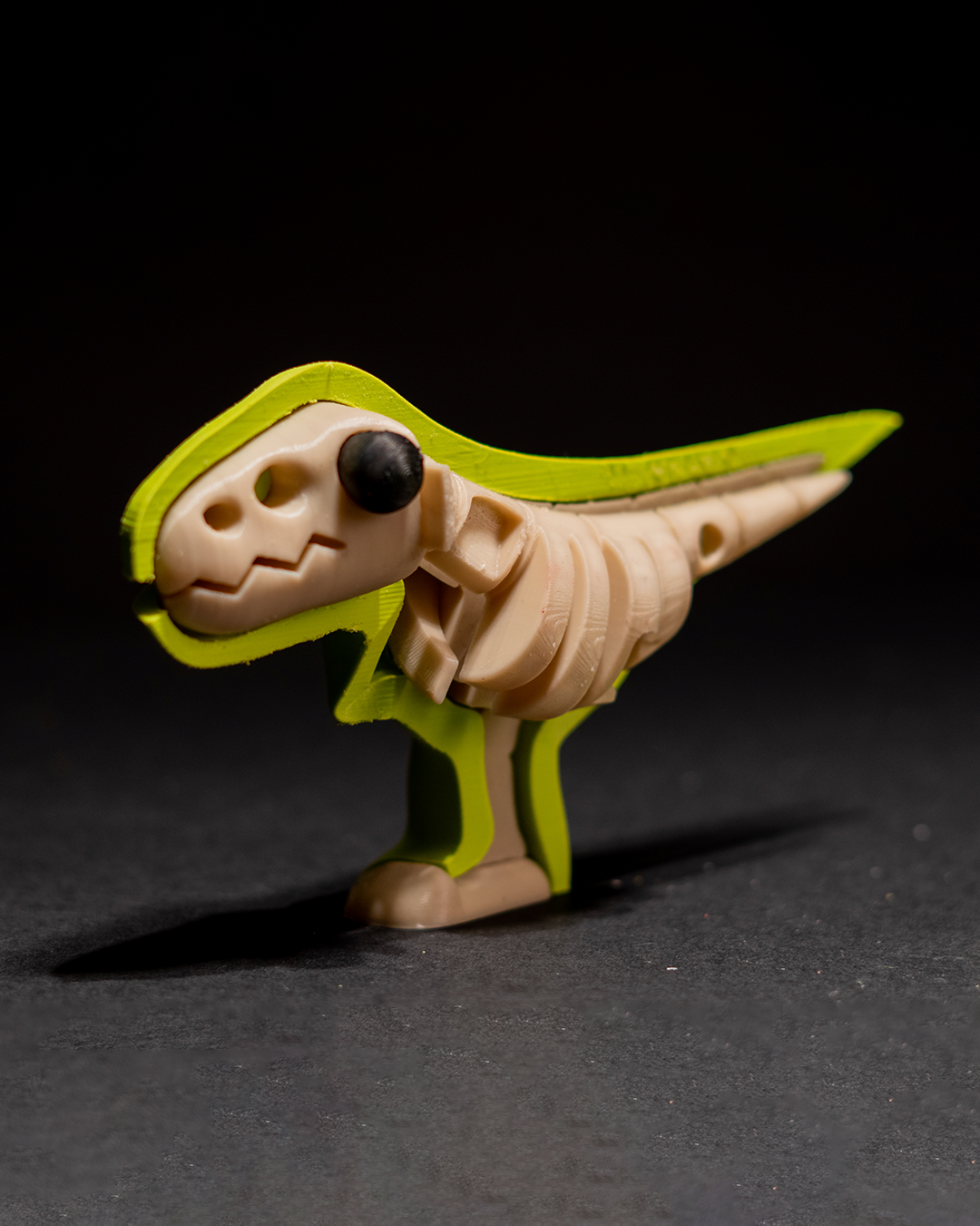 0253 - T-Rex Puzzle