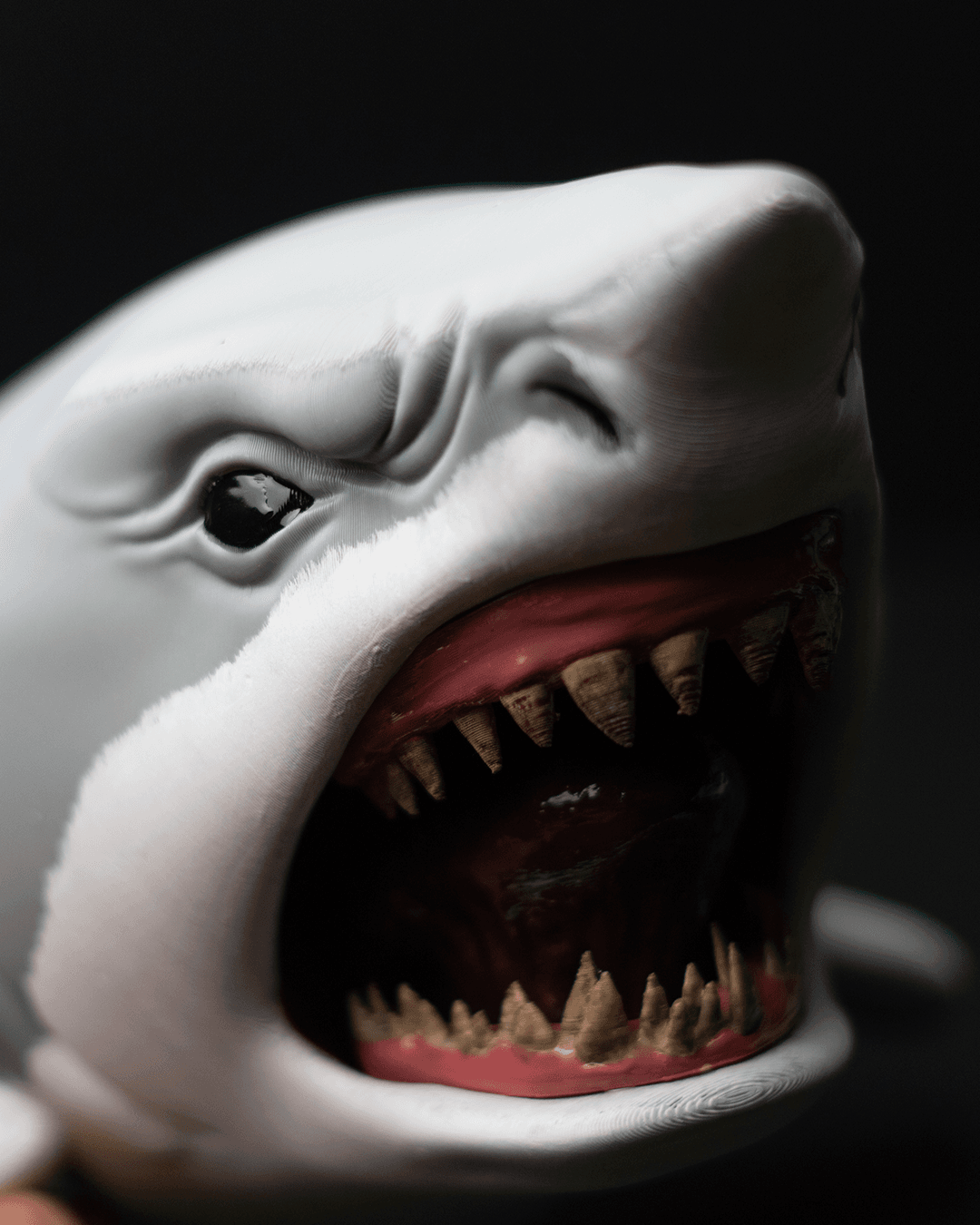 0100 - Shark Hanger