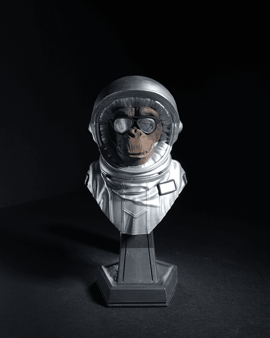 0372 - Intergalactic Monkey Crew