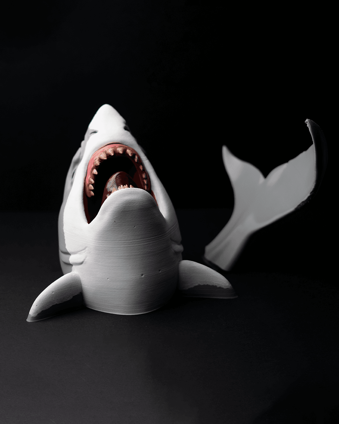0100 - Shark Hanger