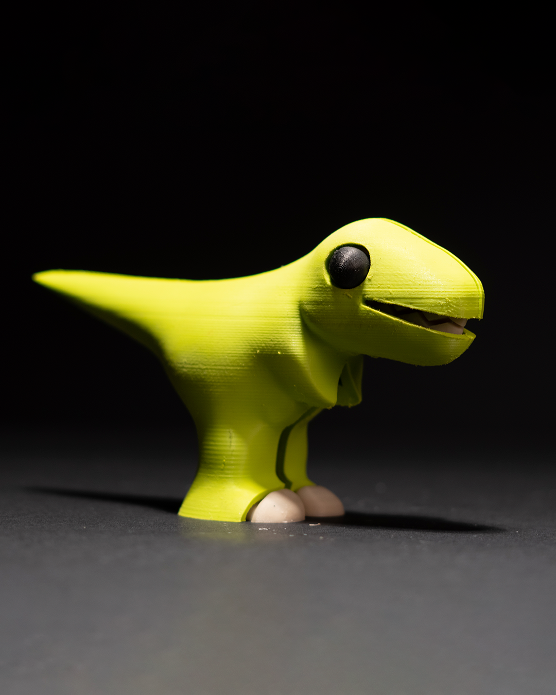 0253 - T-Rex Puzzle