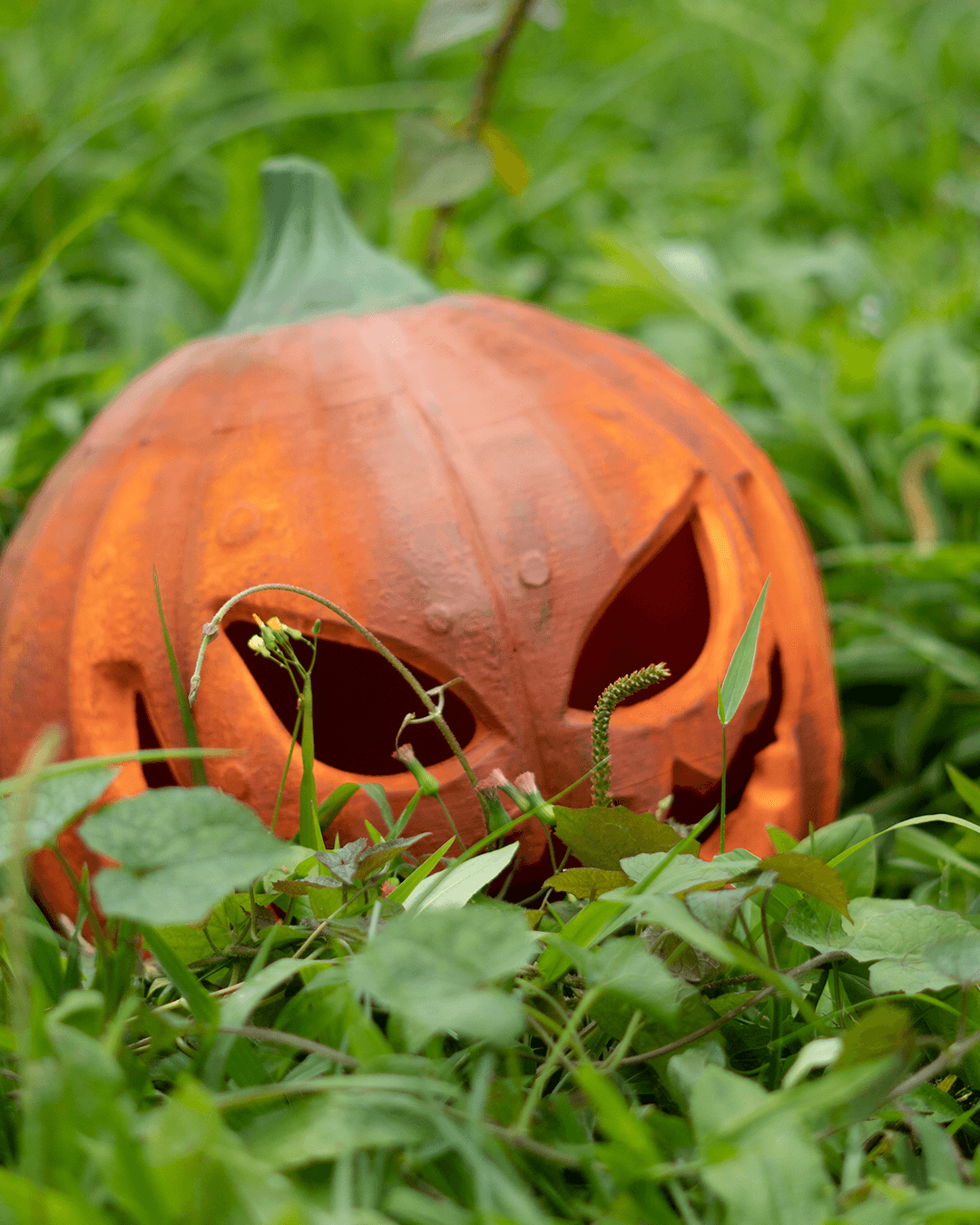 0101 - Pumpkin Helmet