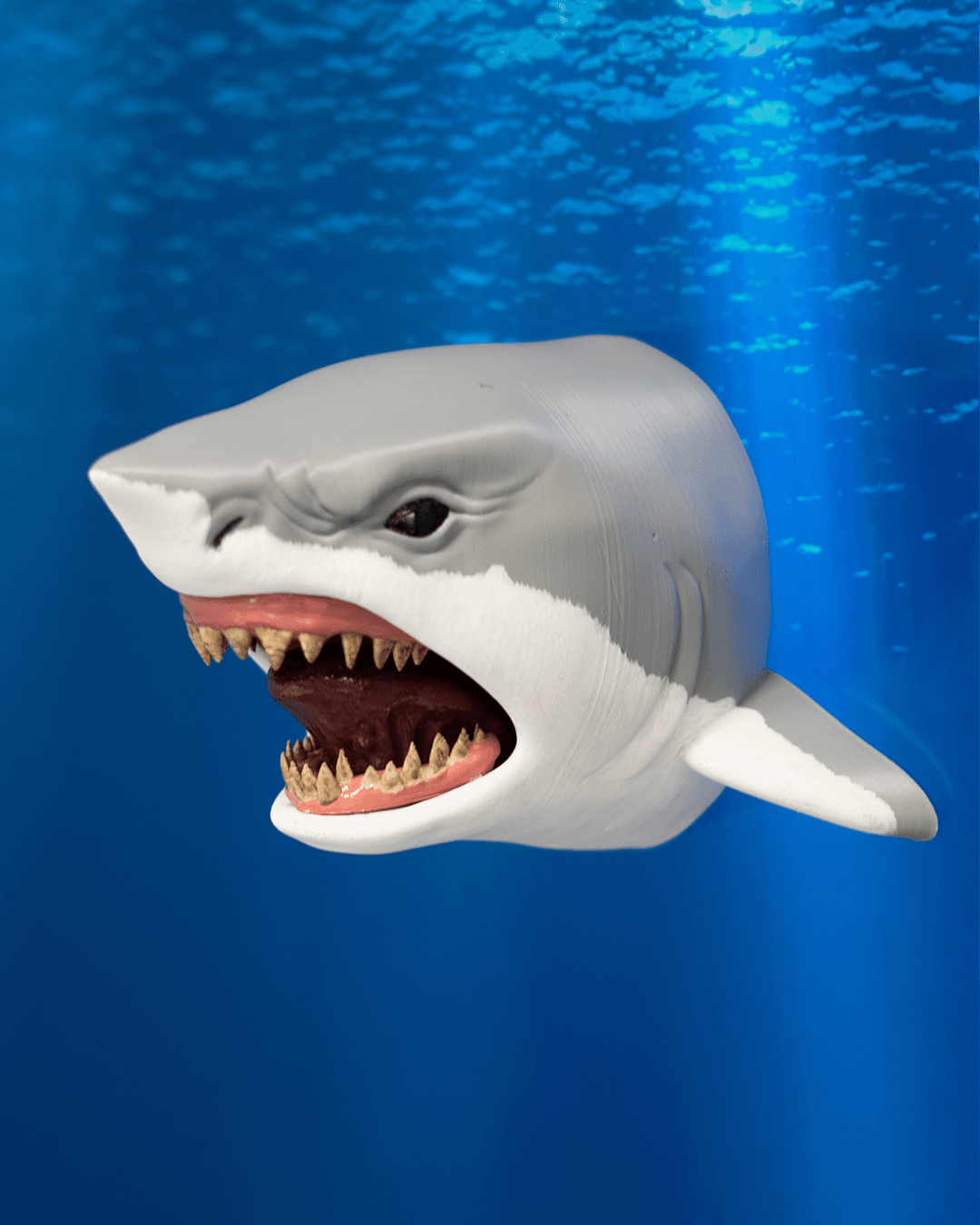 0100 - Shark Hanger