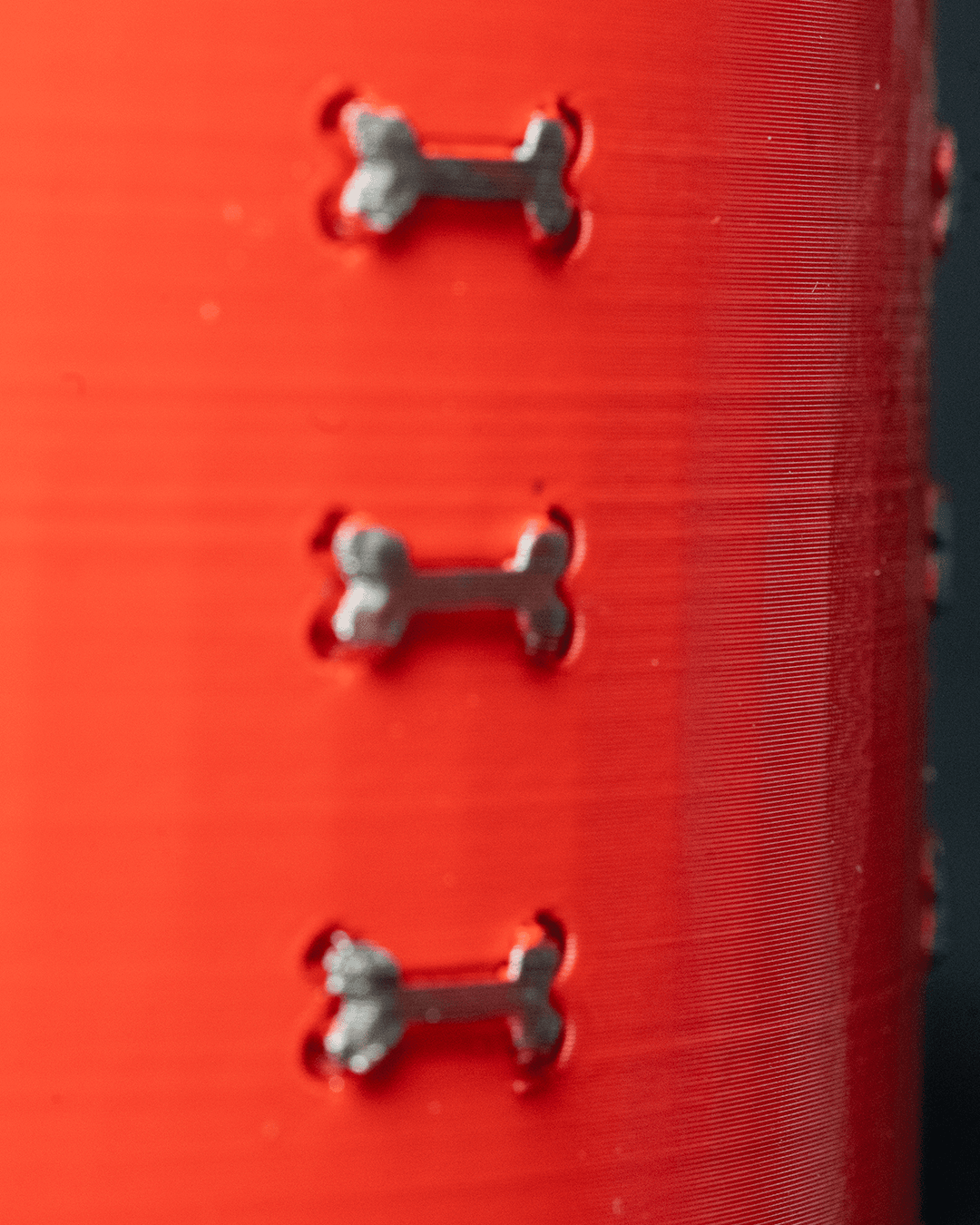 0213 - Customizable Pet Bowl