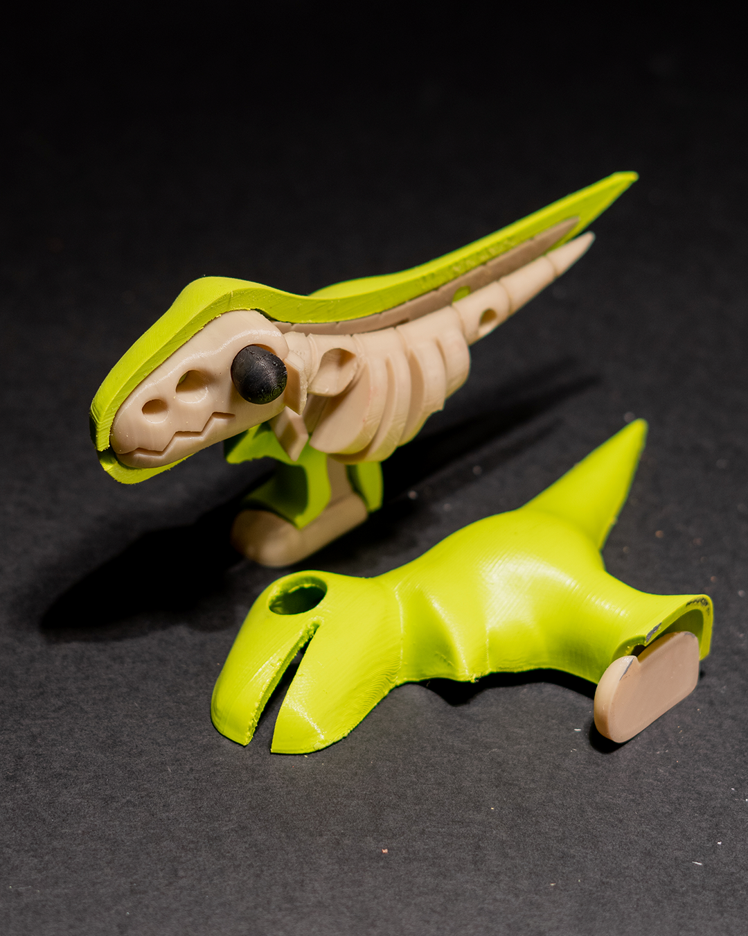 0253 - T-Rex Puzzle