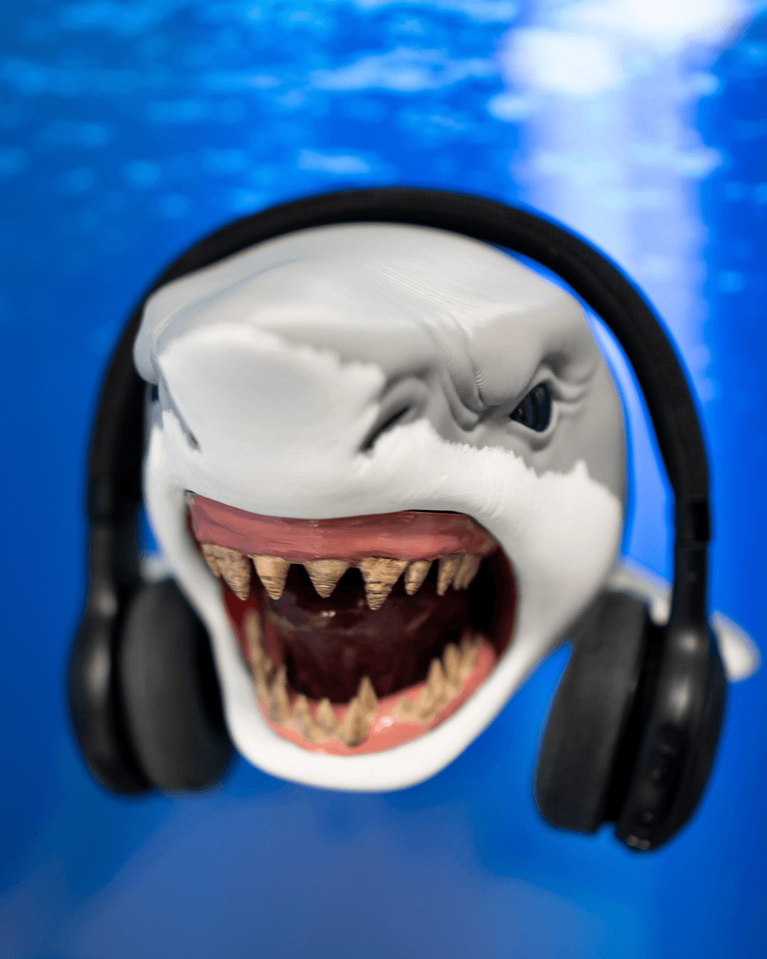 0100 - Shark Hanger