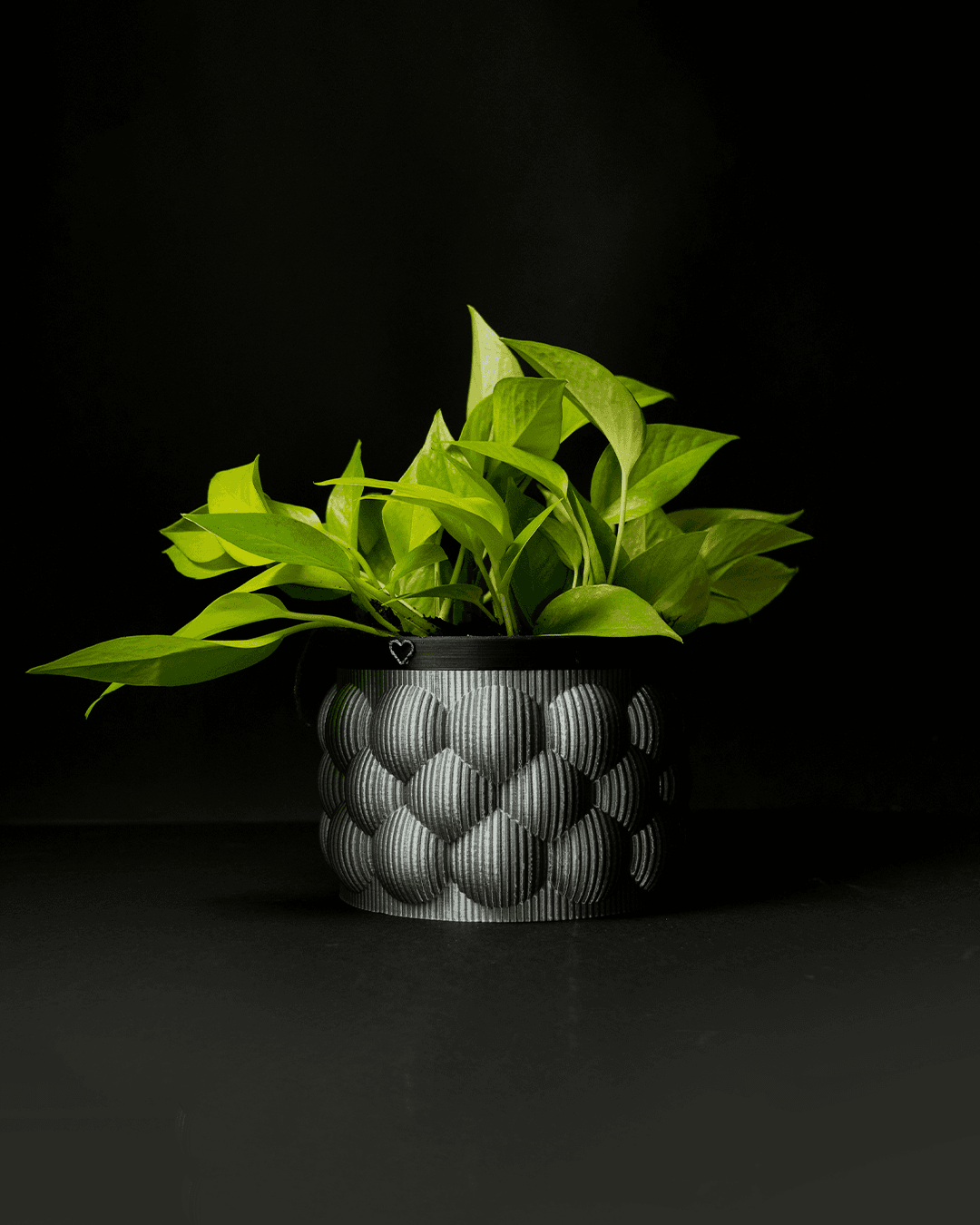 0260 - Self-Watering Vase