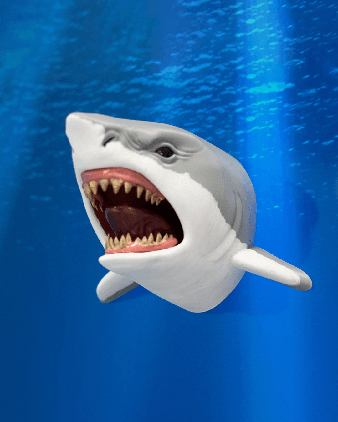 0100 - Shark Hanger