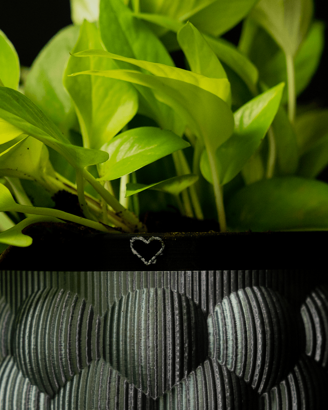 0260 - Self-Watering Vase