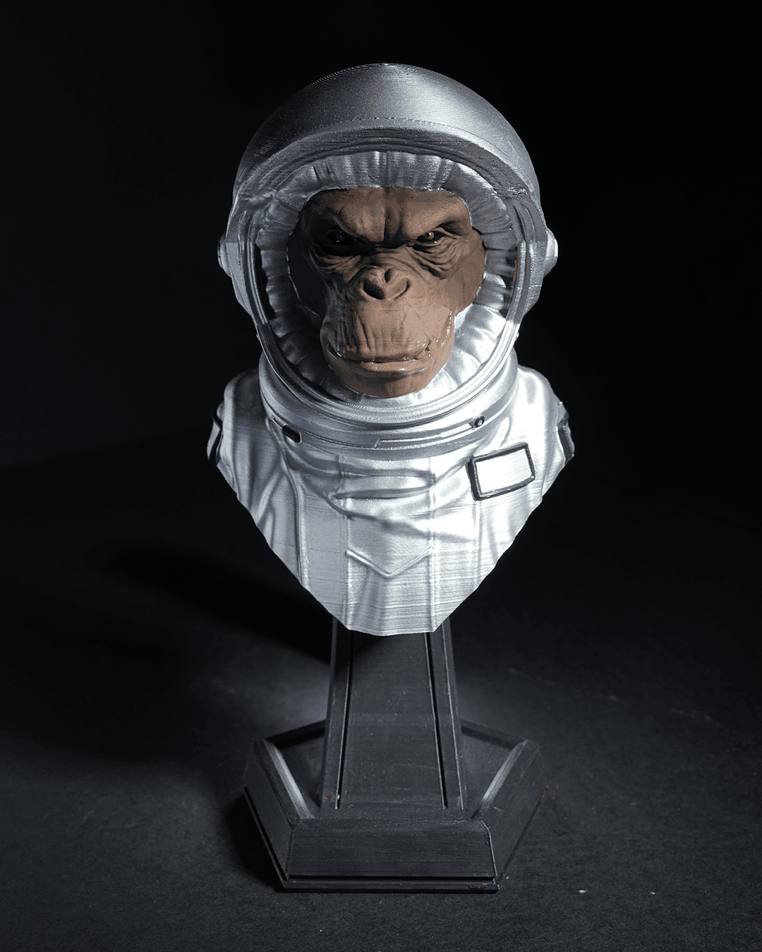 0372 - Intergalactic Monkey Crew