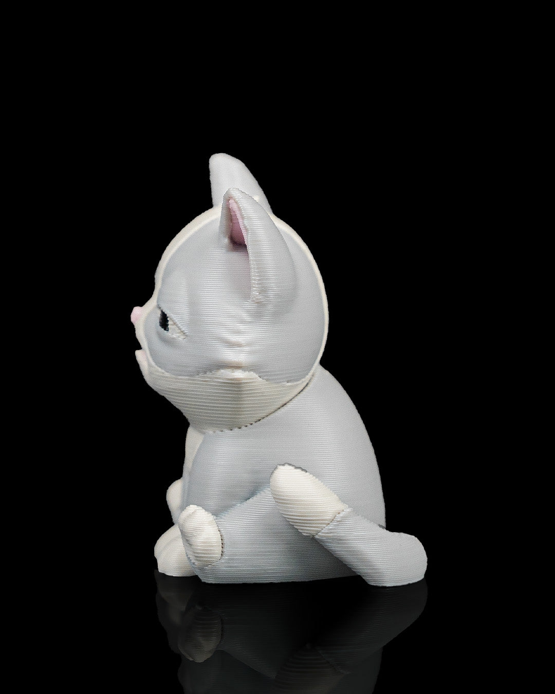 4089 - Fine Cat