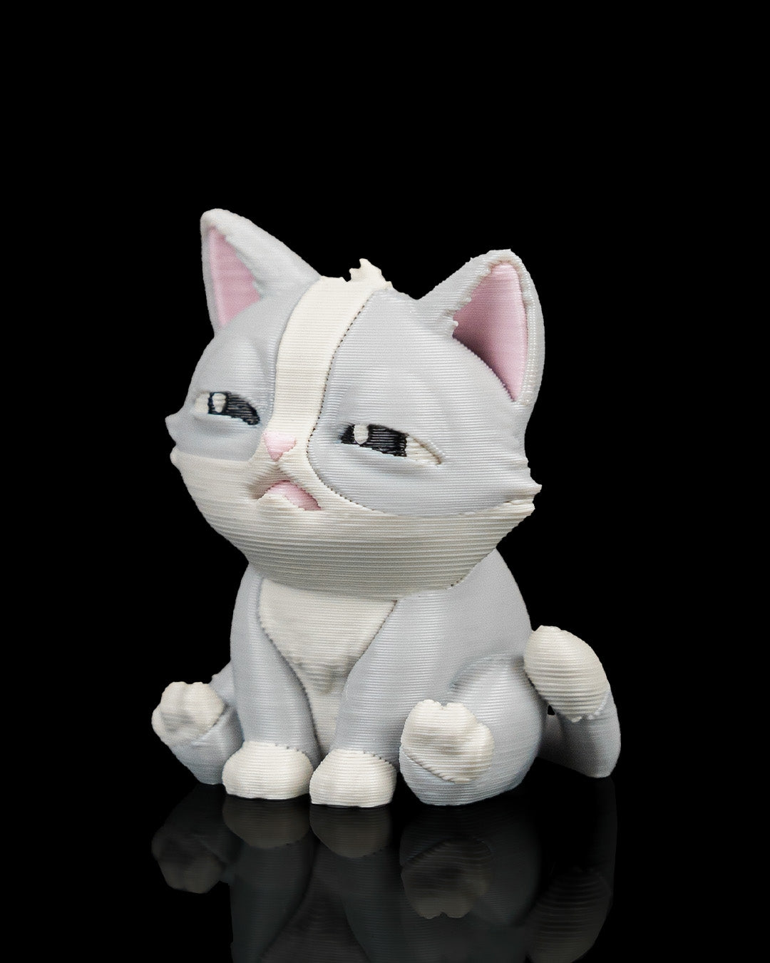 4089 - Fine Cat