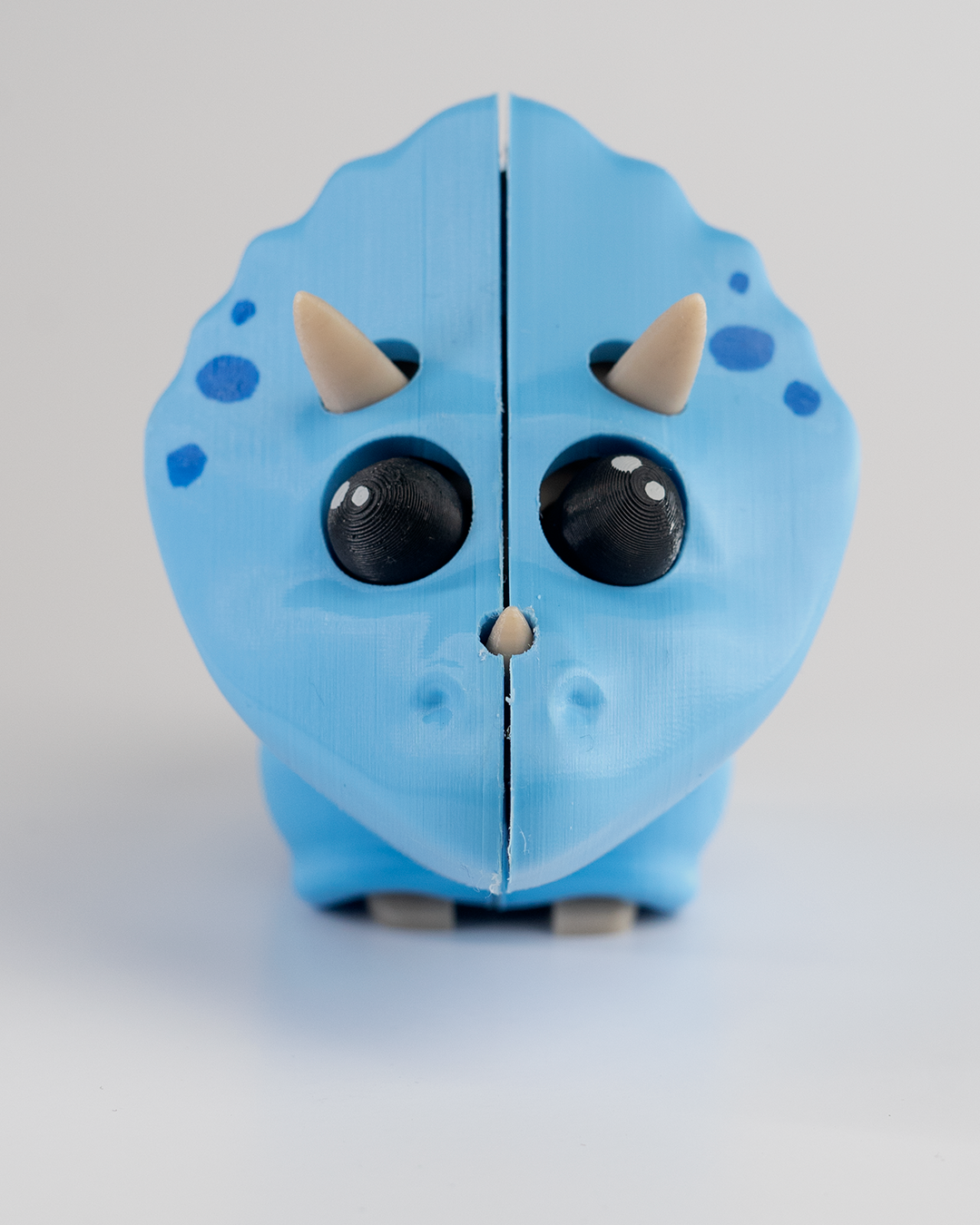 0038 - Triceratops Skeleton Puzzle