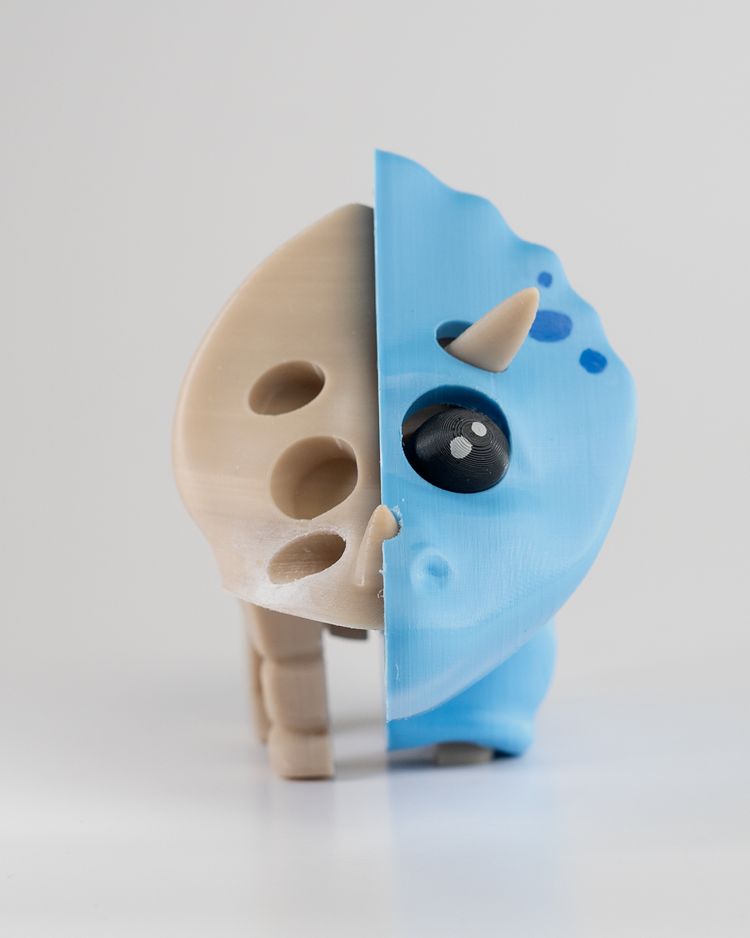 0038 - Triceratops Skeleton Puzzle