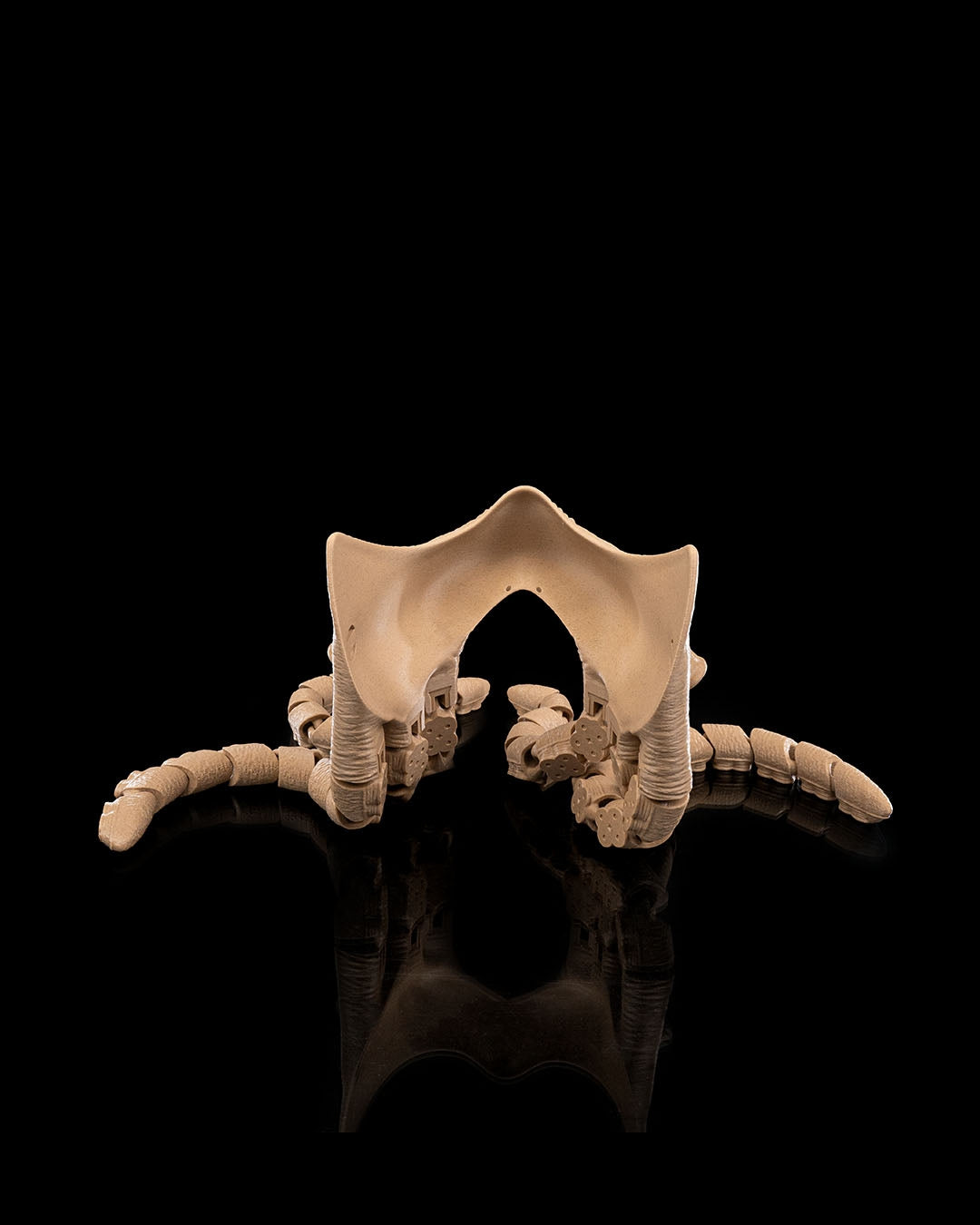 2097 - Abyssal Tentacles Halloween Mask