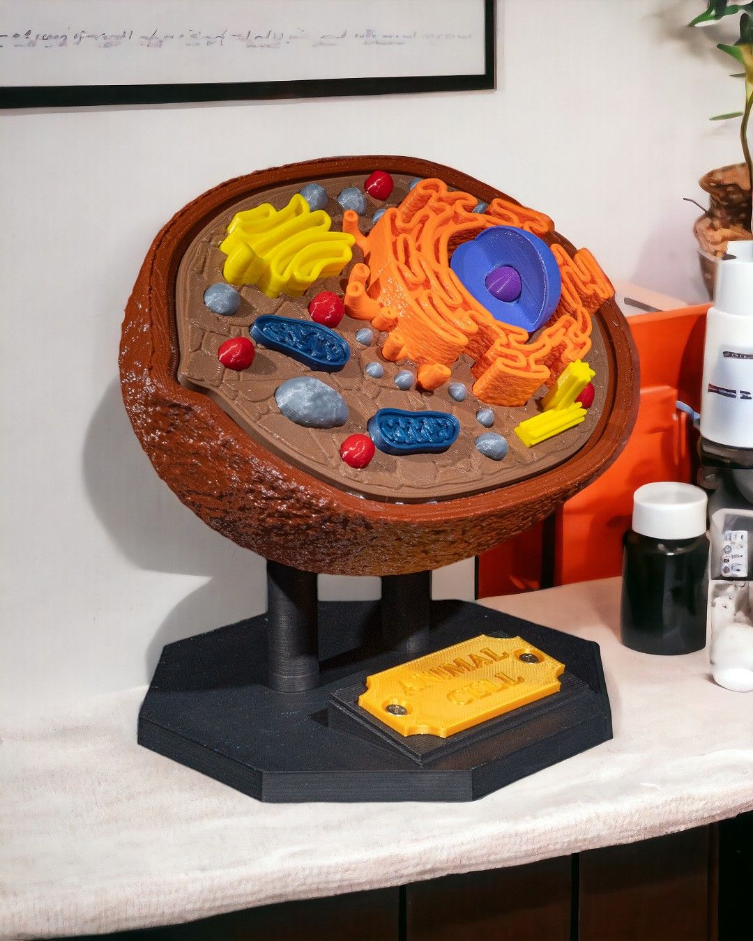 1530 - Animal Cell