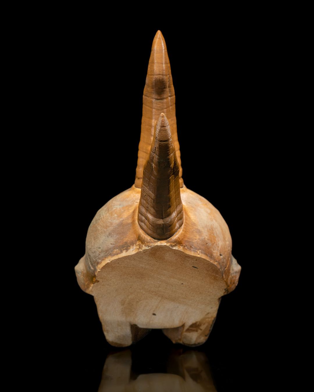 1601 - Black Dragon Skull