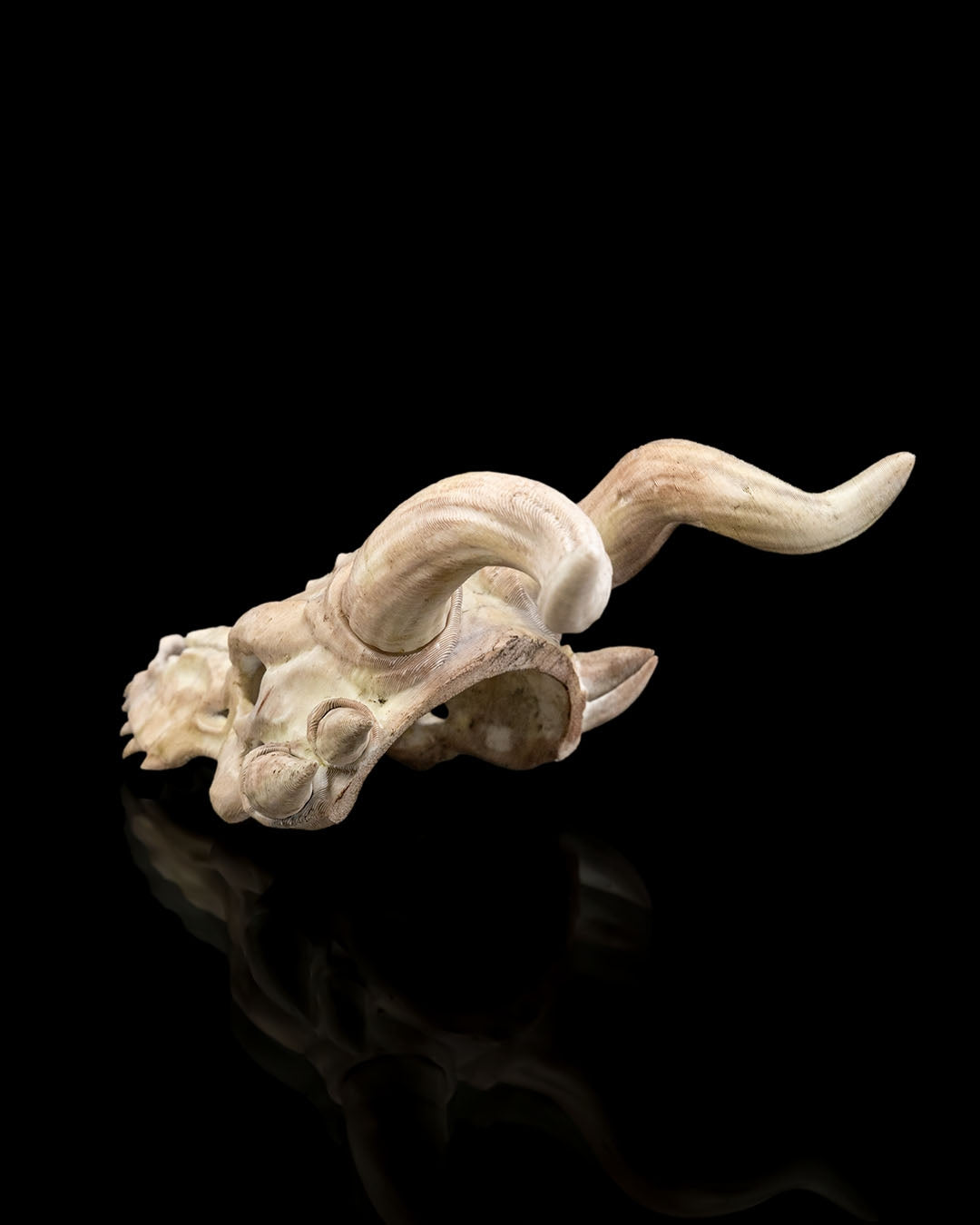 2595 - Bone Trophy Hair Pin