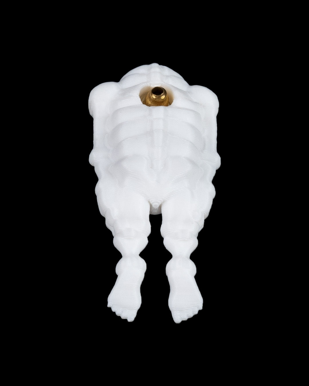 2296 - Bone to be Worn