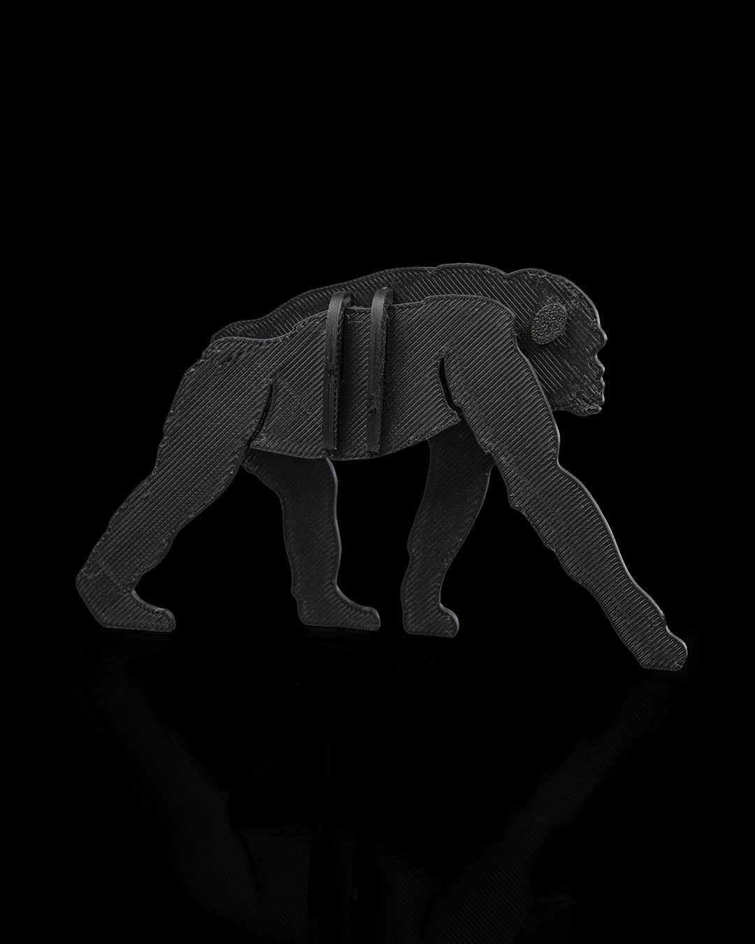 2384 - Bonobo Kit Card