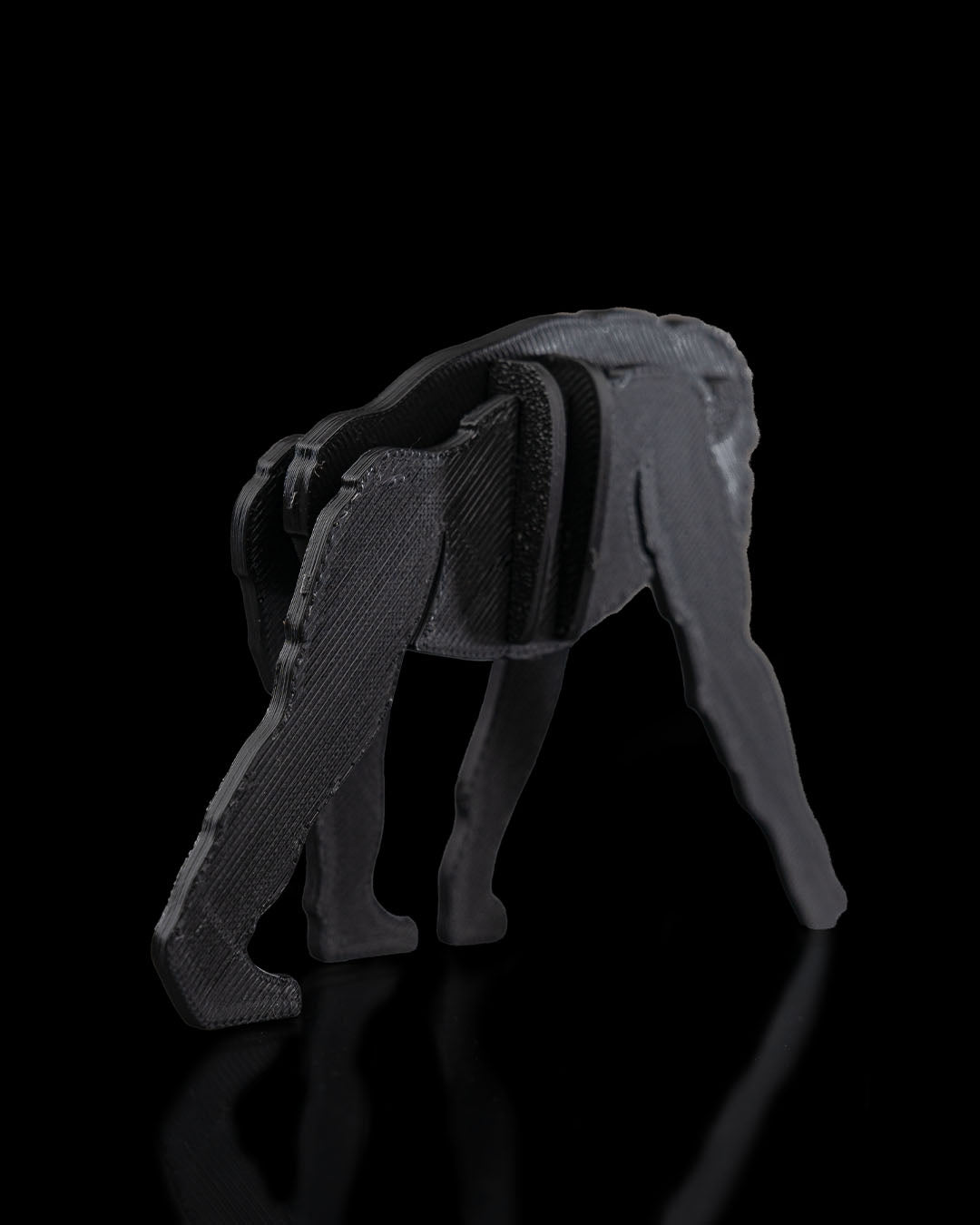 2384 - Bonobo Kit Card