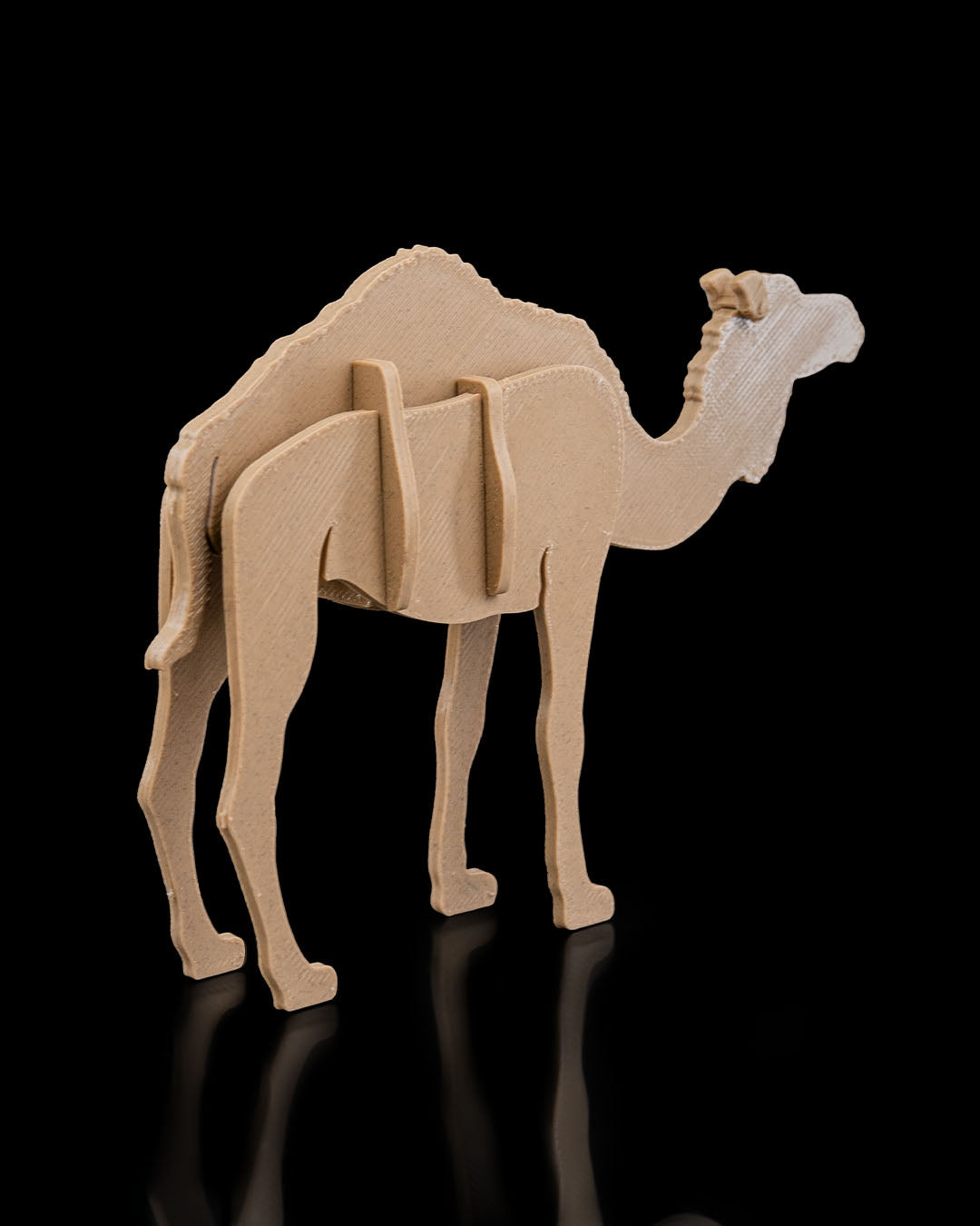 2383 - Camel Kit Card