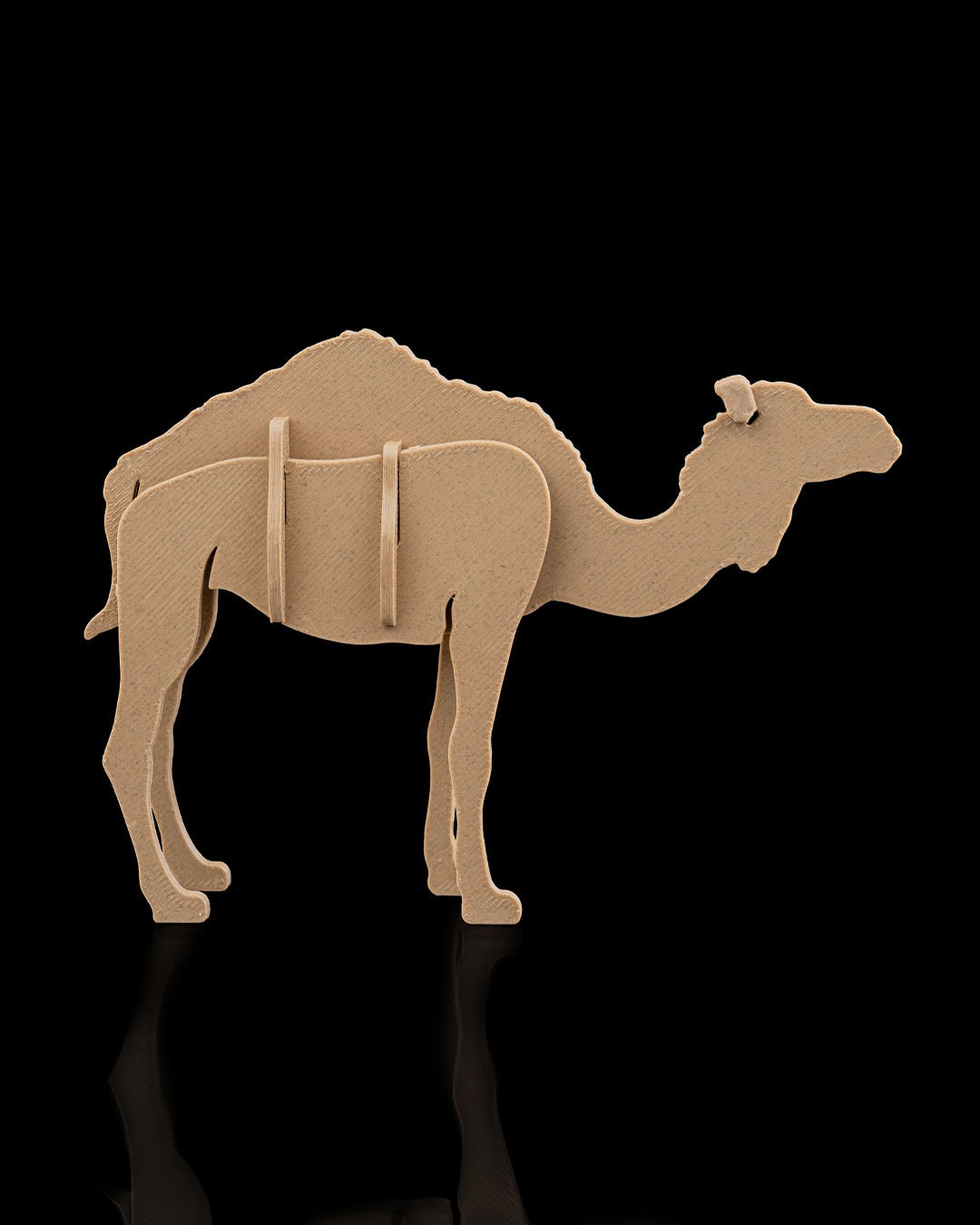 2383 - Camel Kit Card