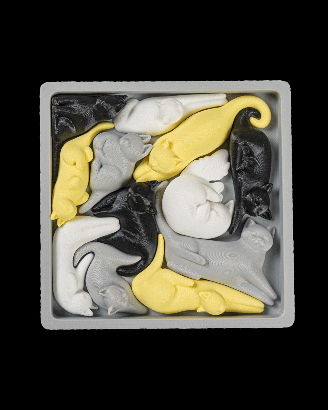 4496 - Cat Packing Puzzle