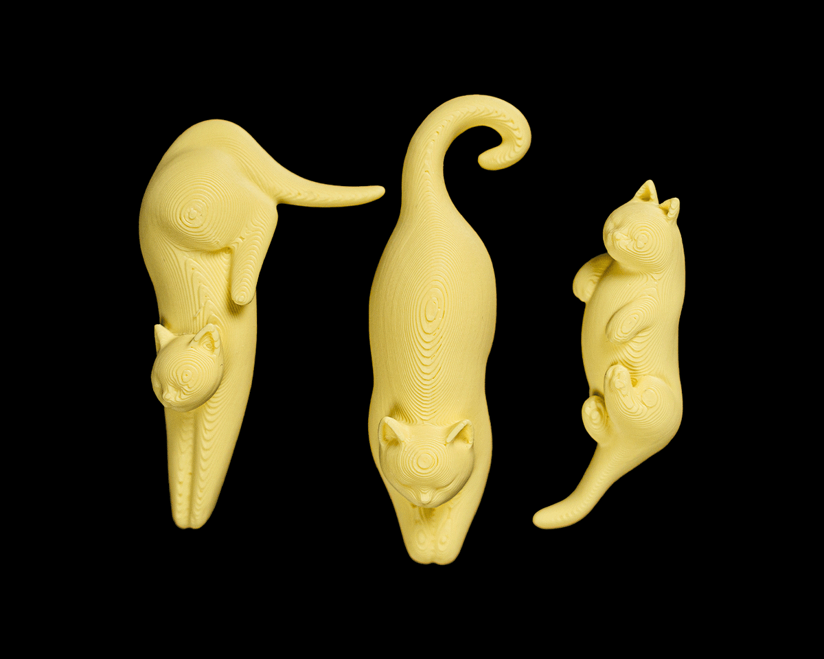 4496 - Cat Packing Puzzle