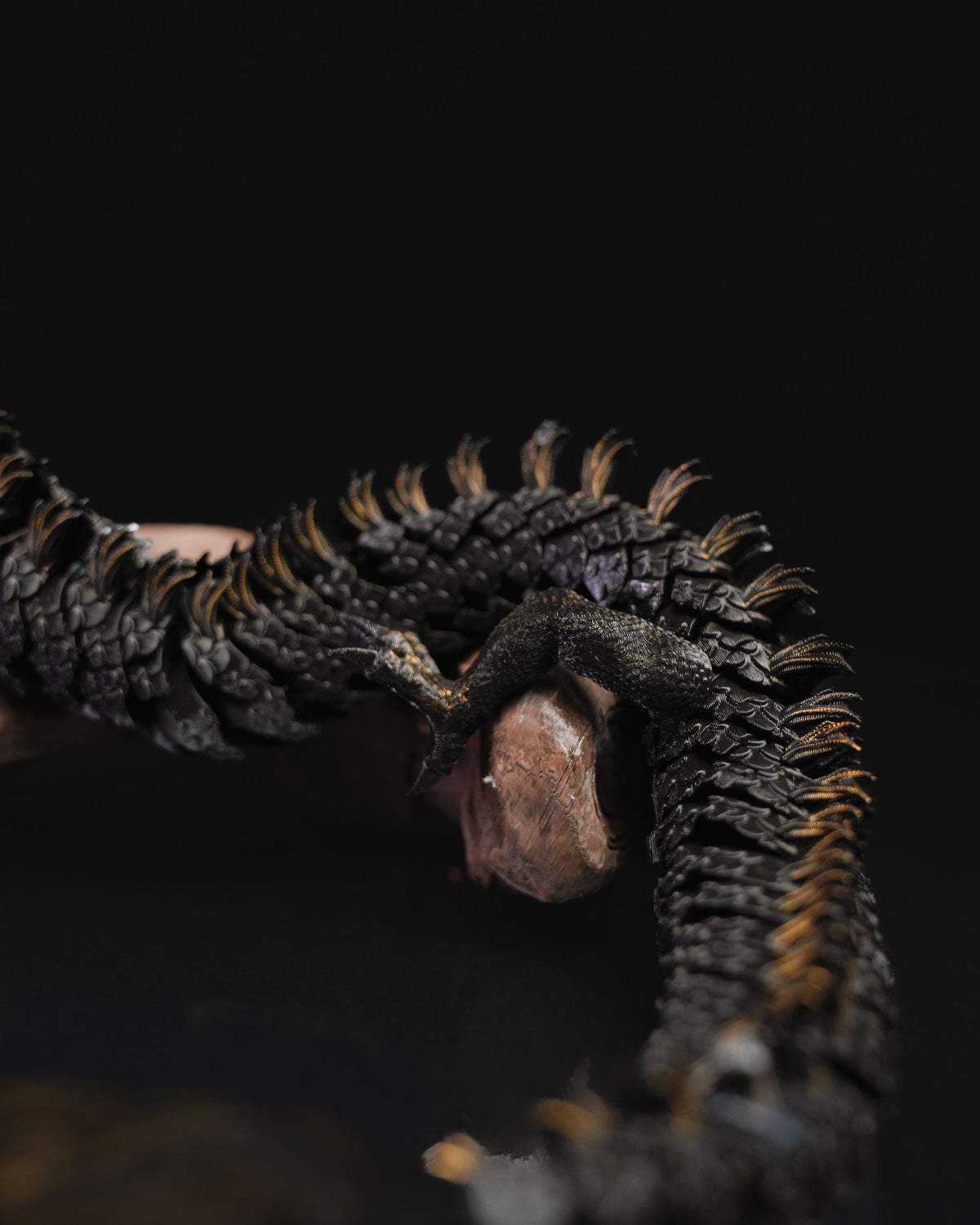 0776 - Articulated Looong