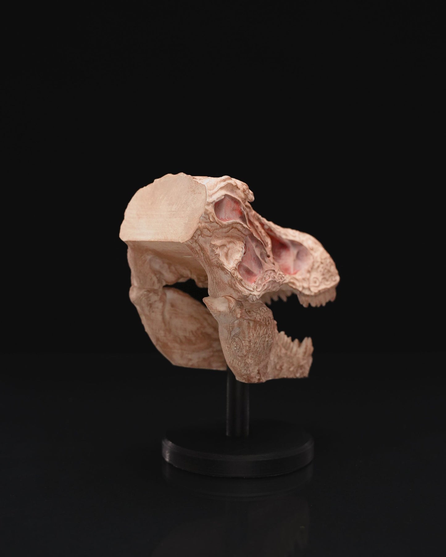 0678 - Carved T Rex Skull