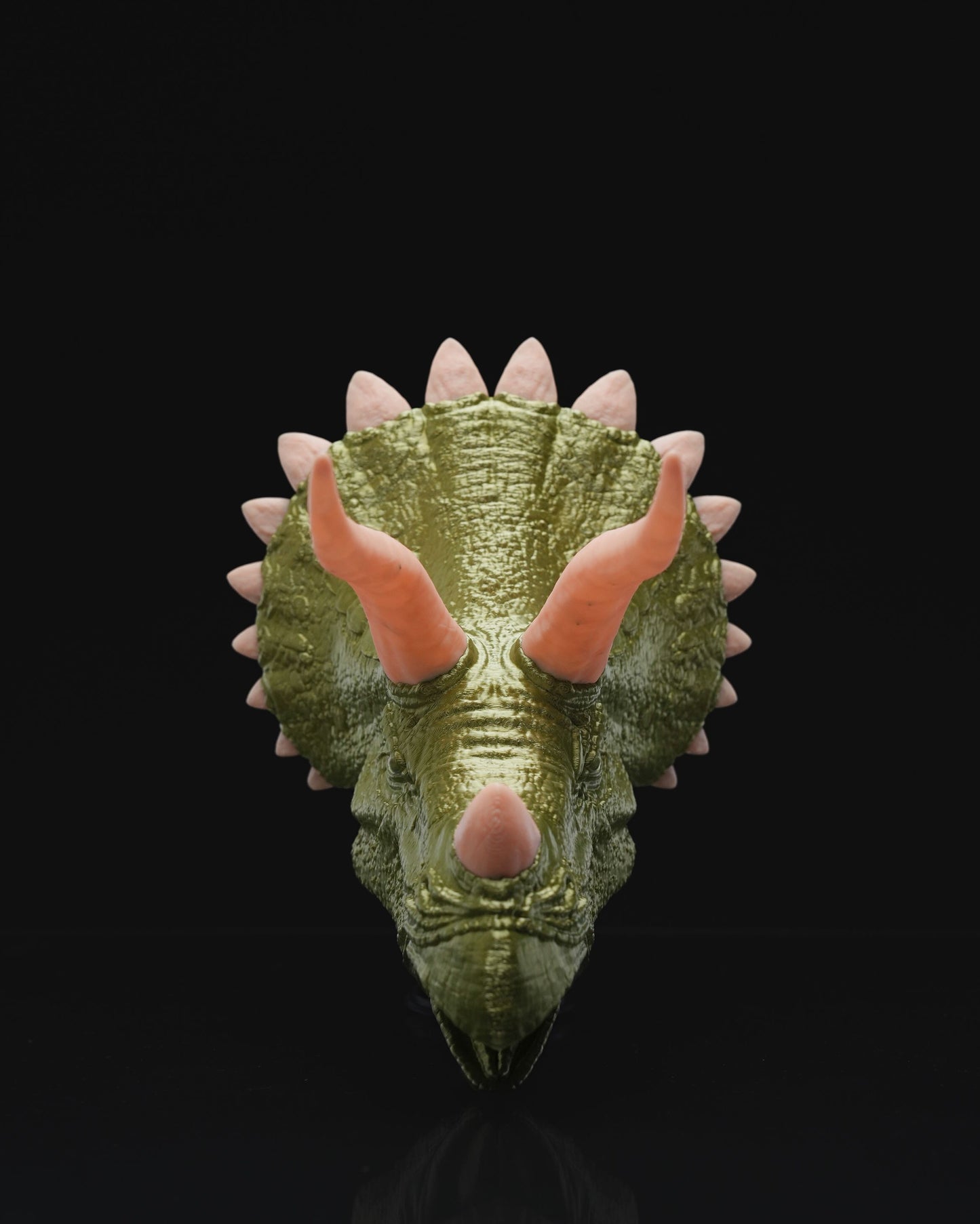 0684 - Hanging Triceratops