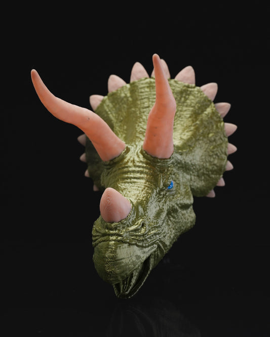 0684 - Hanging Triceratops