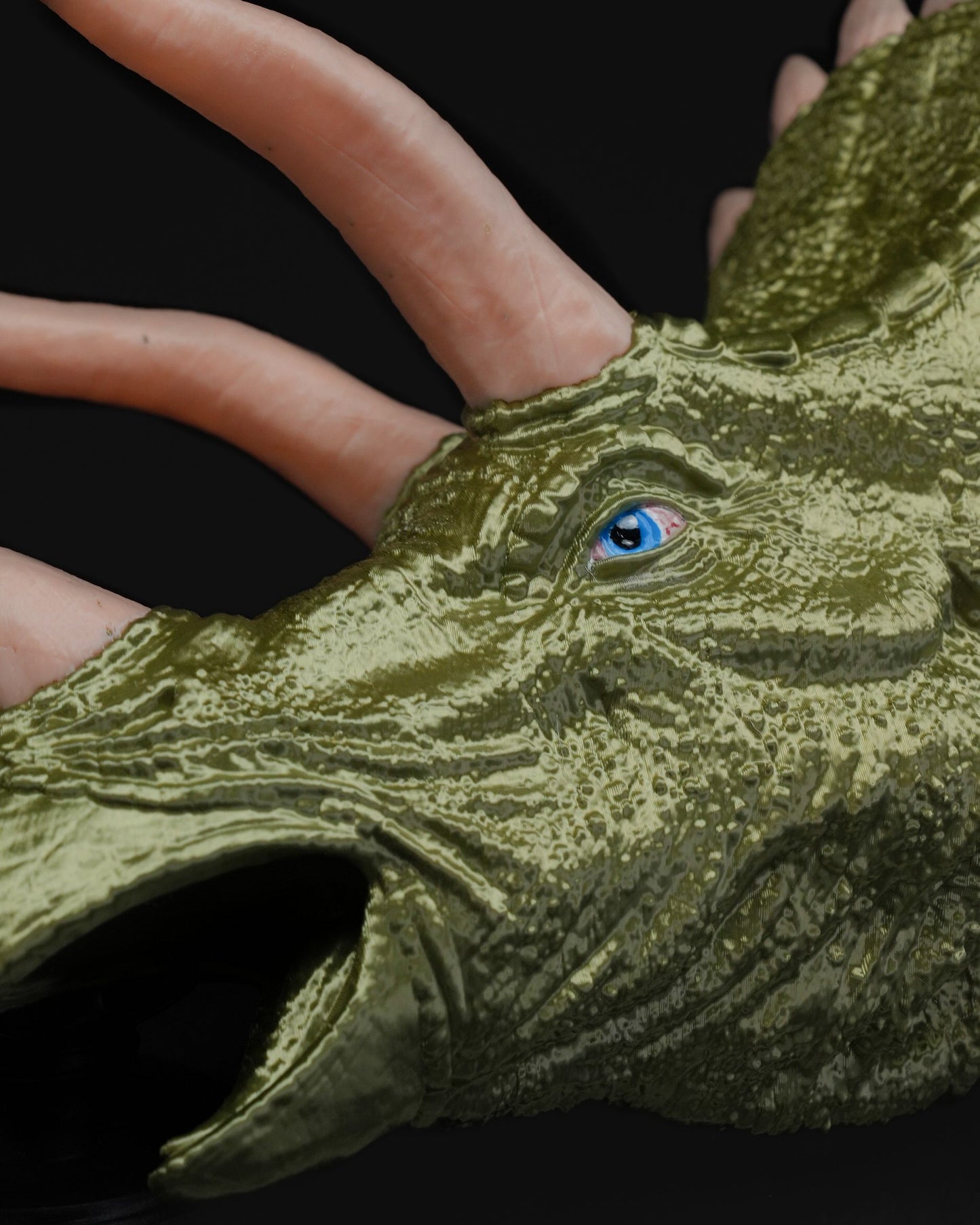 0684 - Hanging Triceratops