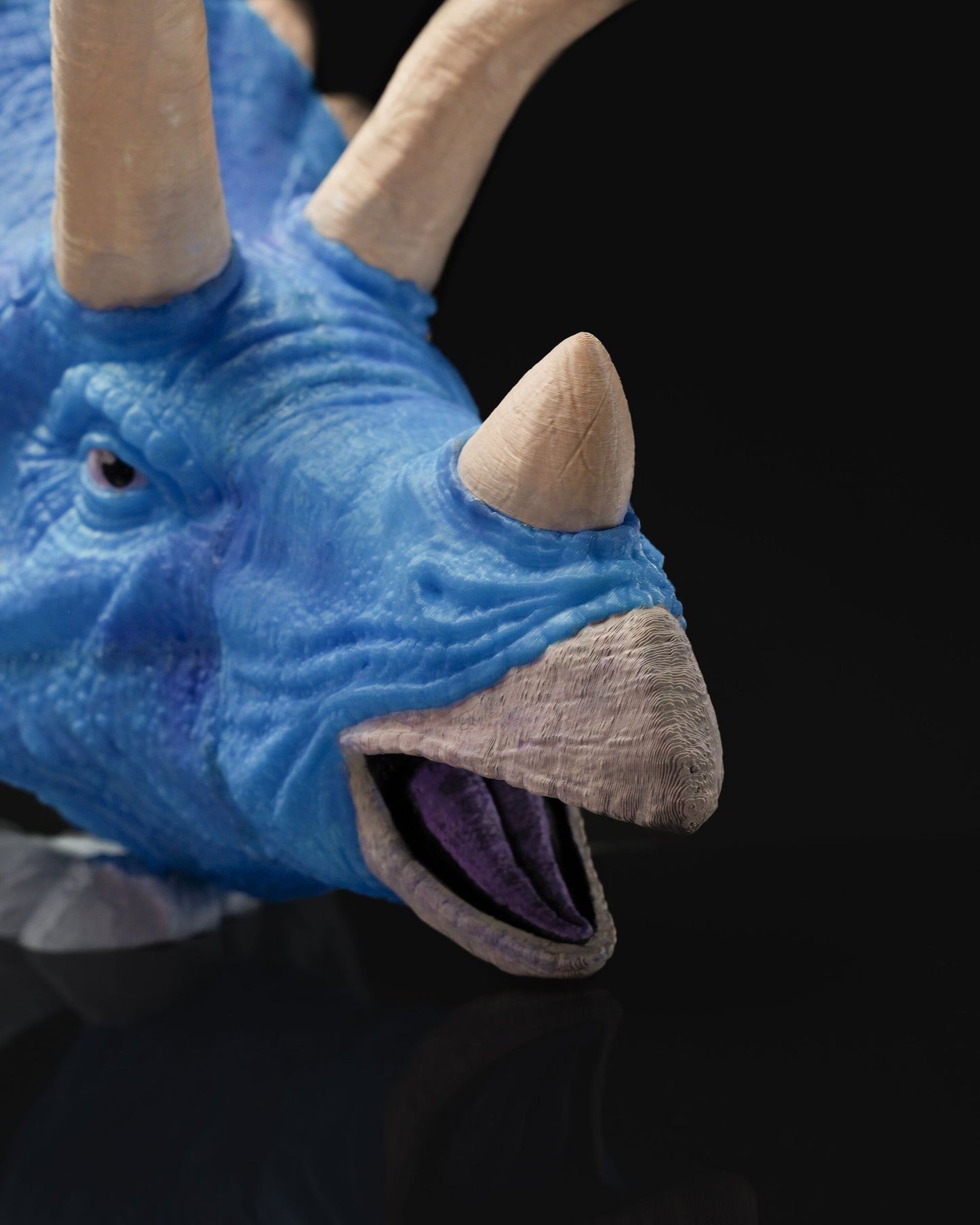 0684 - Hanging Triceratops