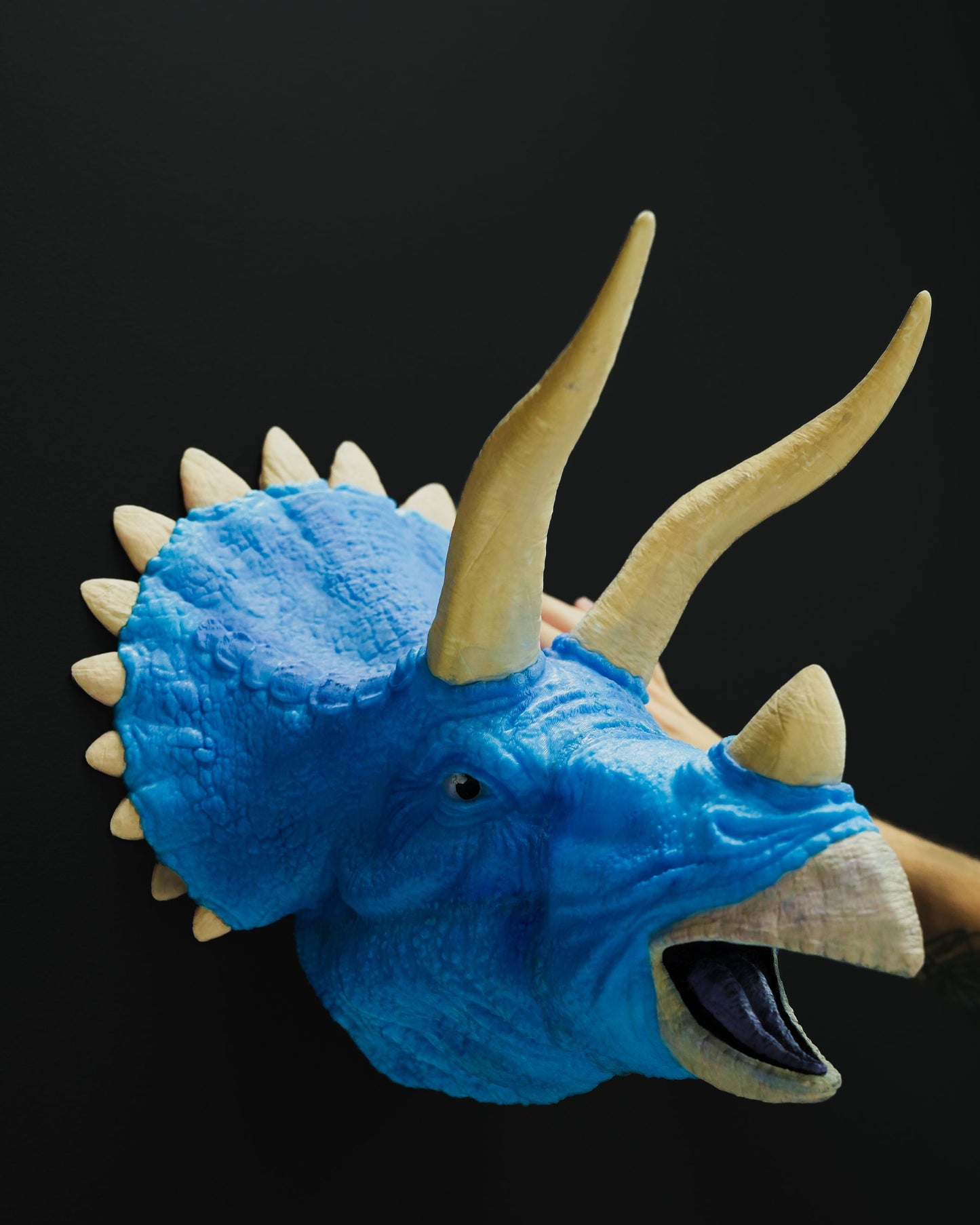 0684 - Hanging Triceratops