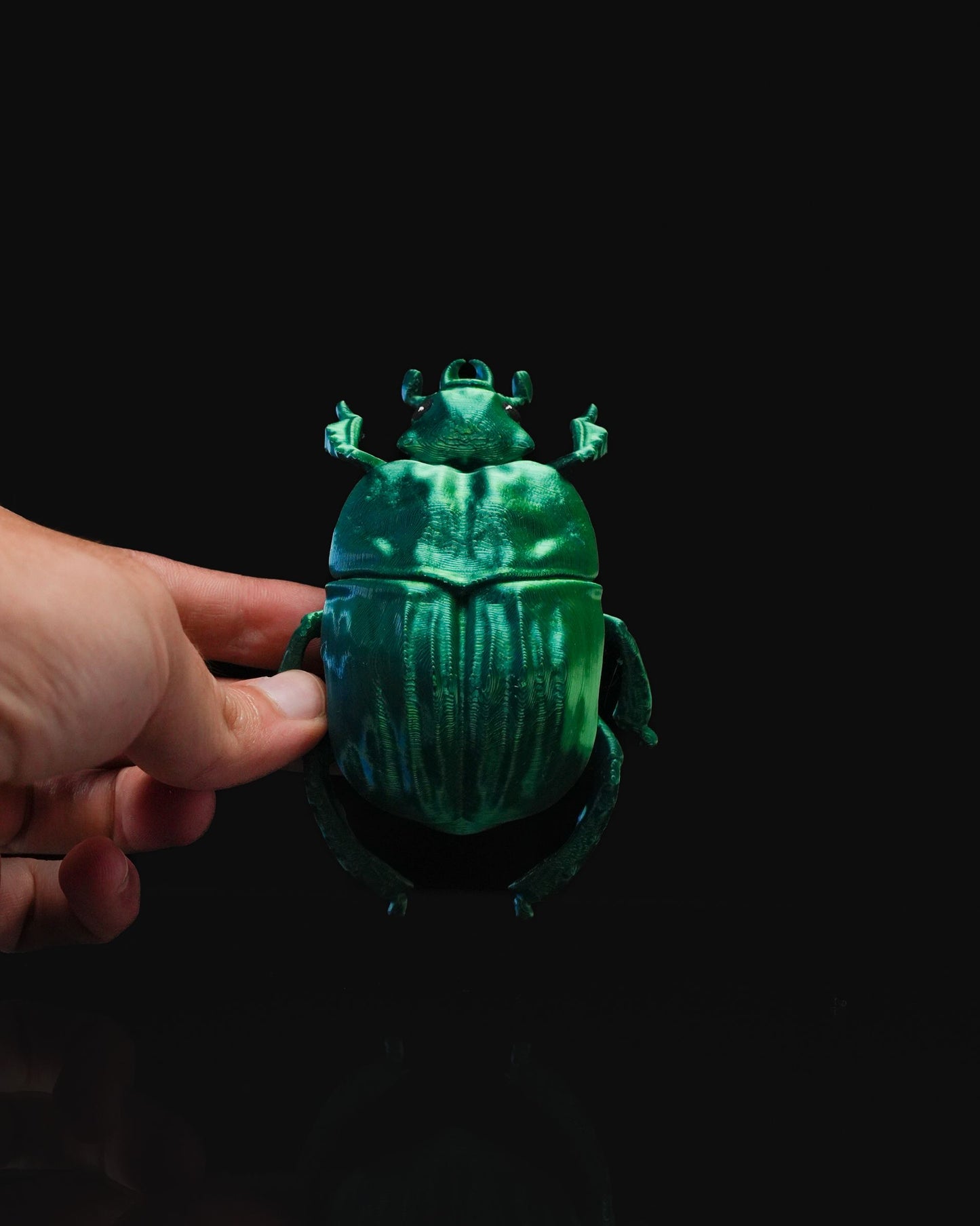 0712 - Beetles on the Wall Scarab