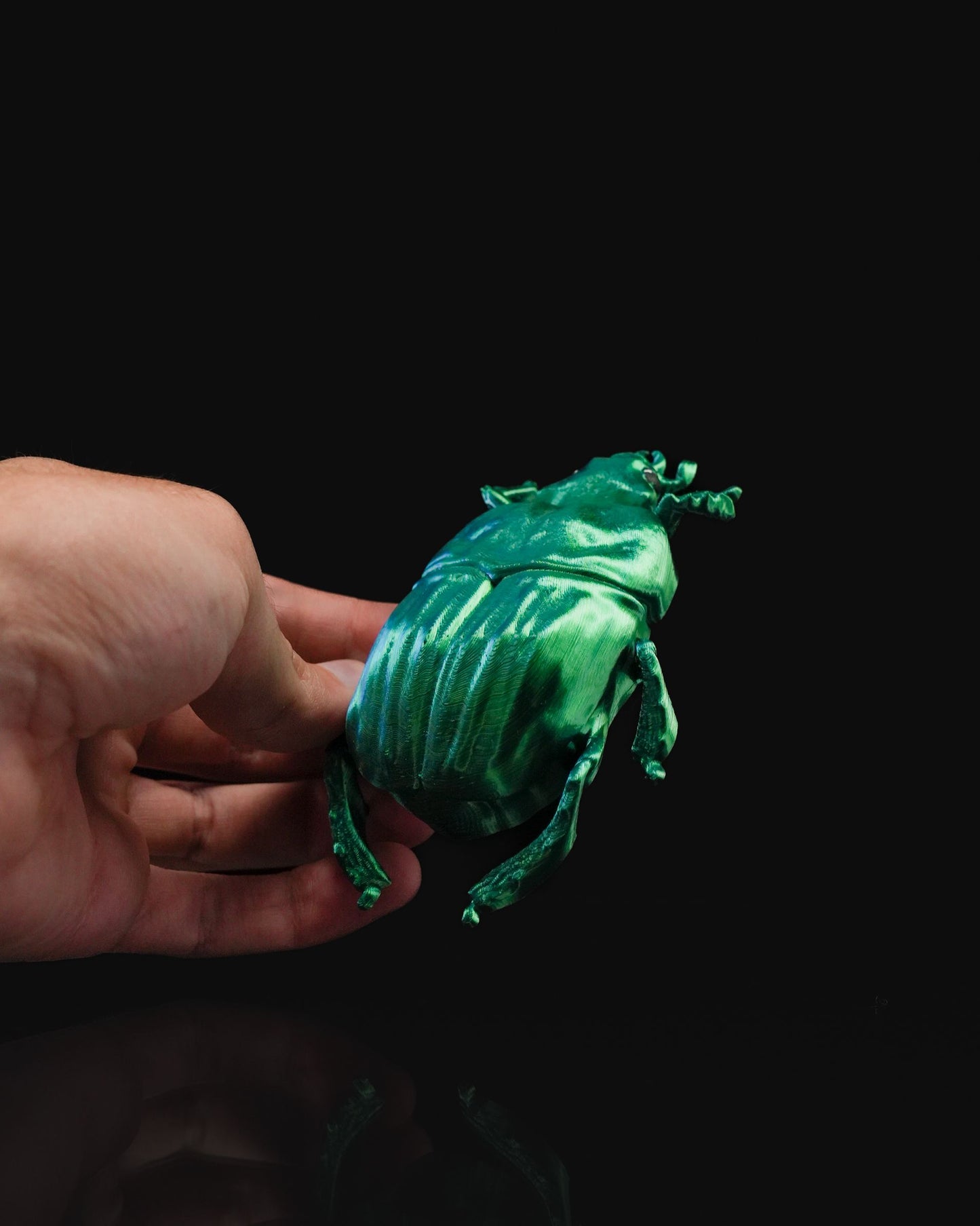 0712 - Beetles on the Wall Scarab