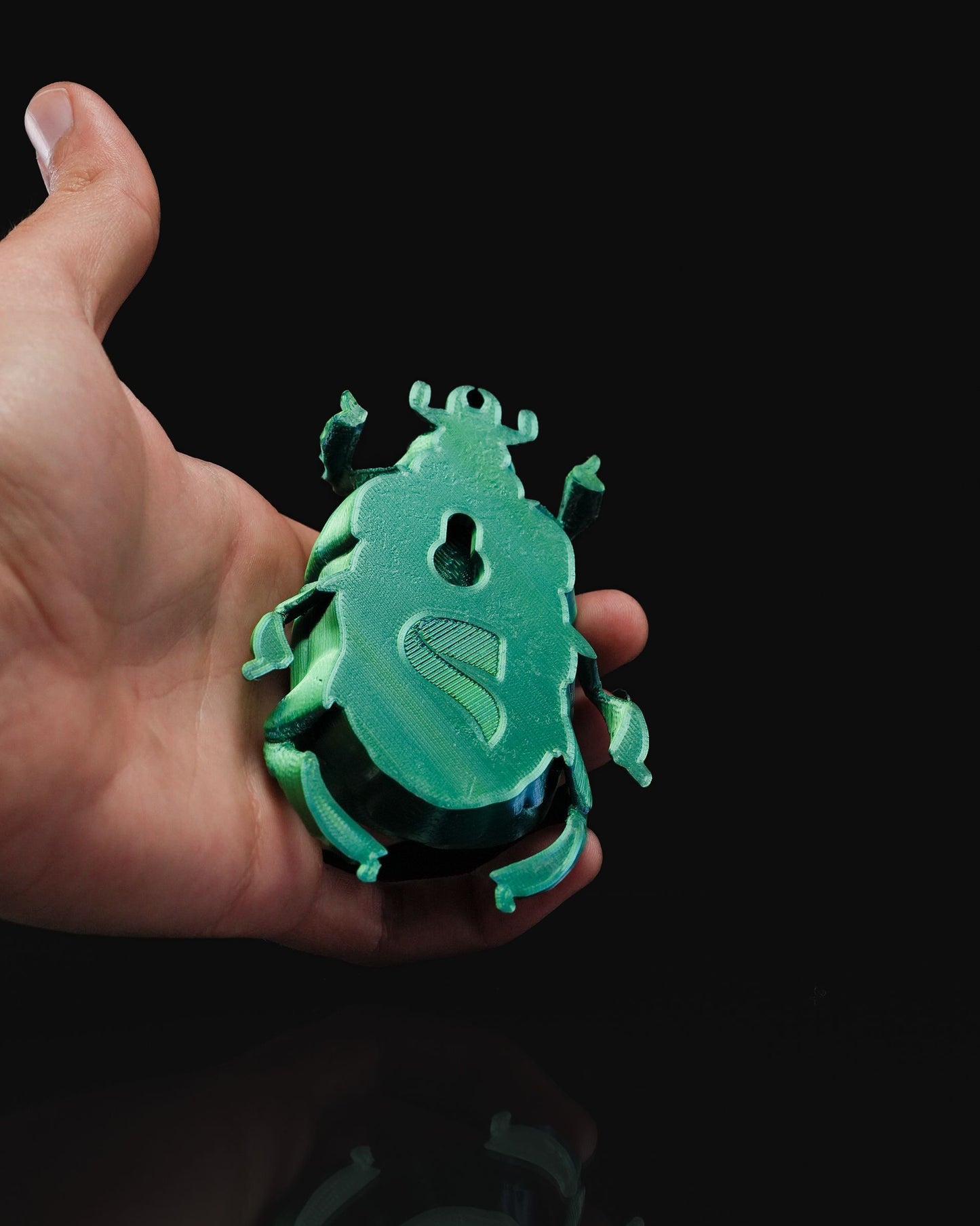 0712 - Beetles on the Wall Scarab