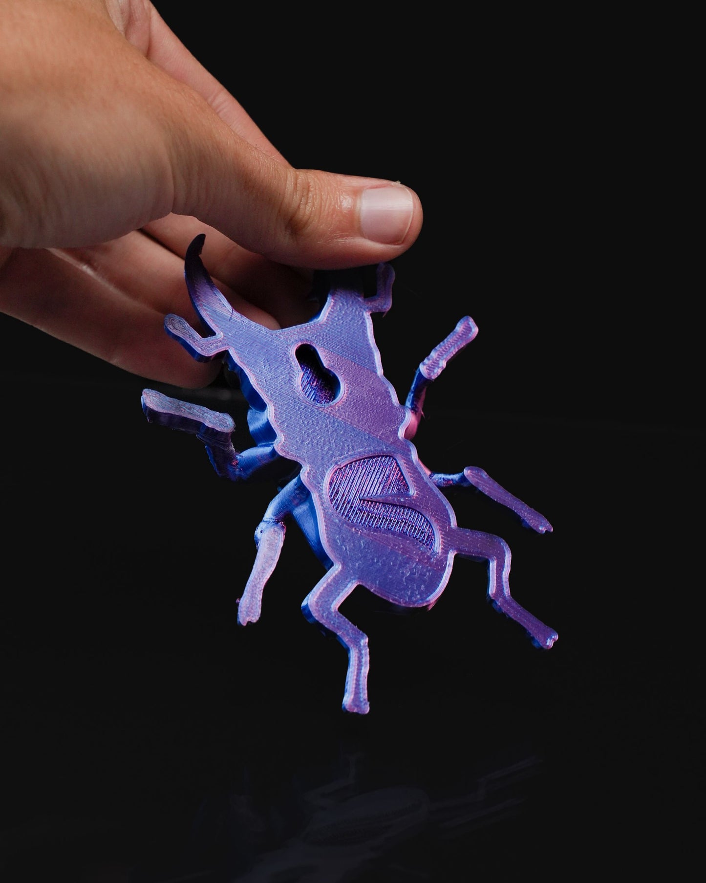 0713 - Beetles on the Wall Stag