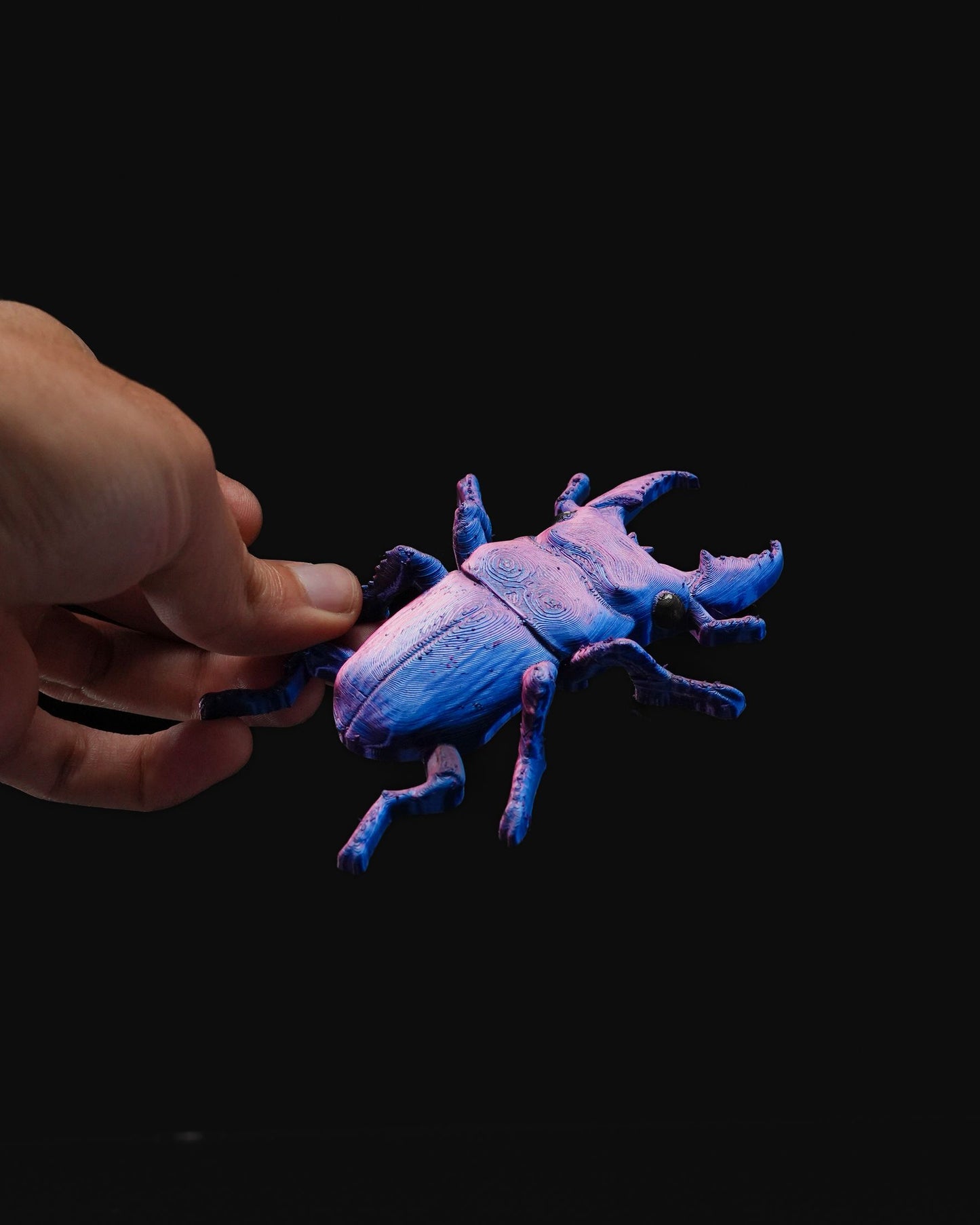 0713 - Beetles on the Wall Stag