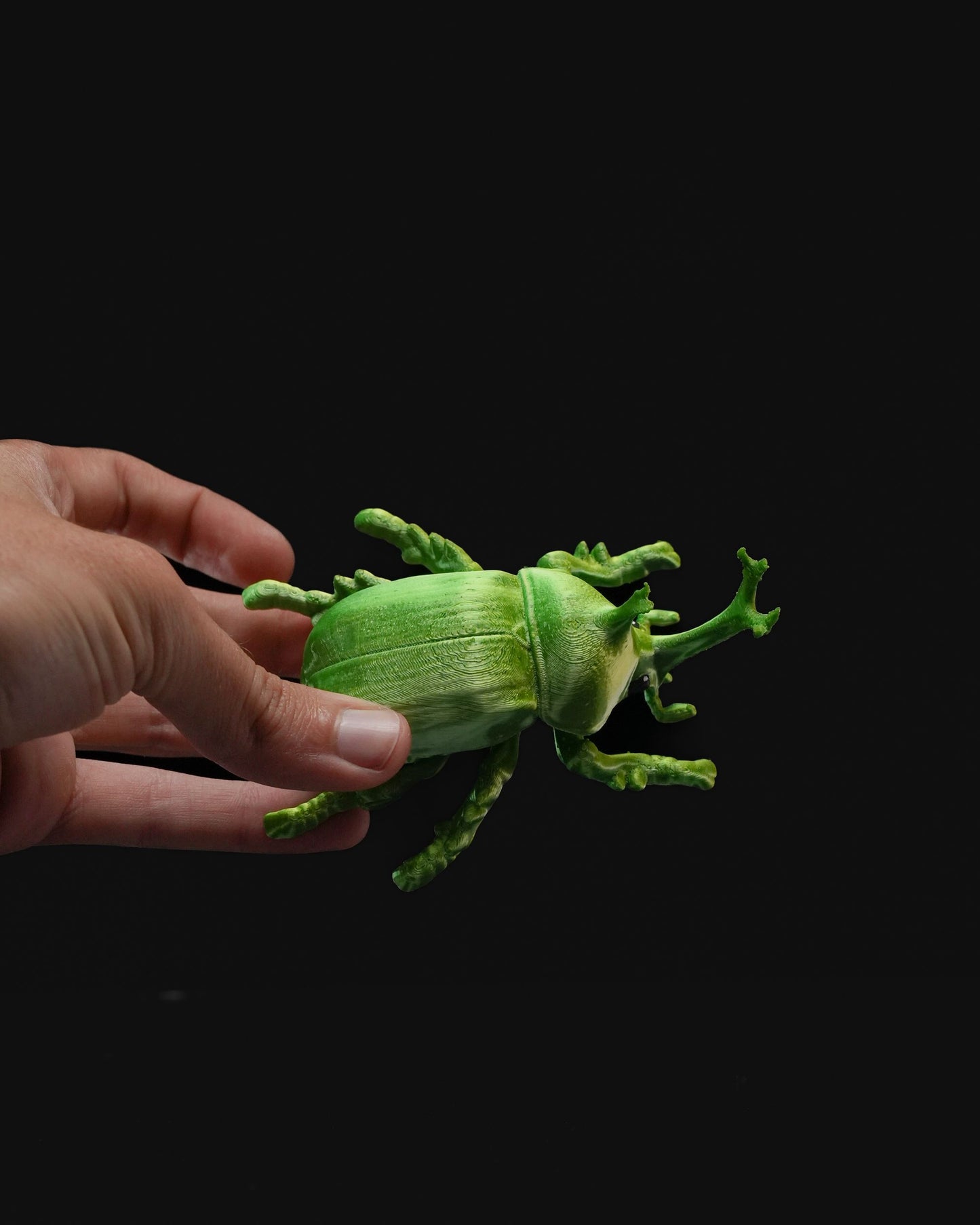 0714 - Beetles on the Wall Rhino