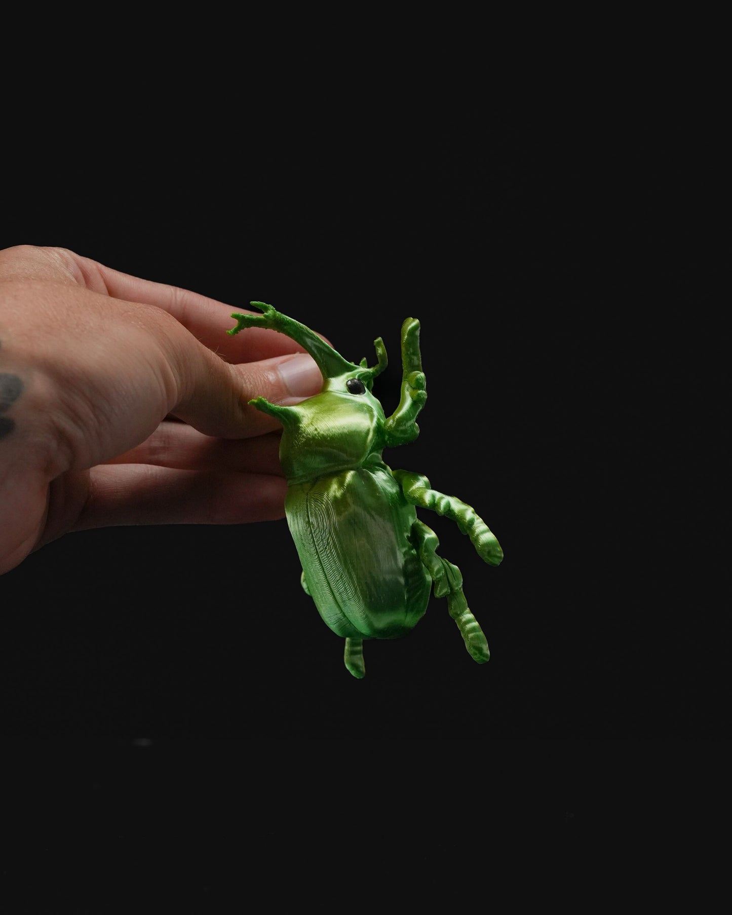 0714 - Beetles on the Wall Rhino