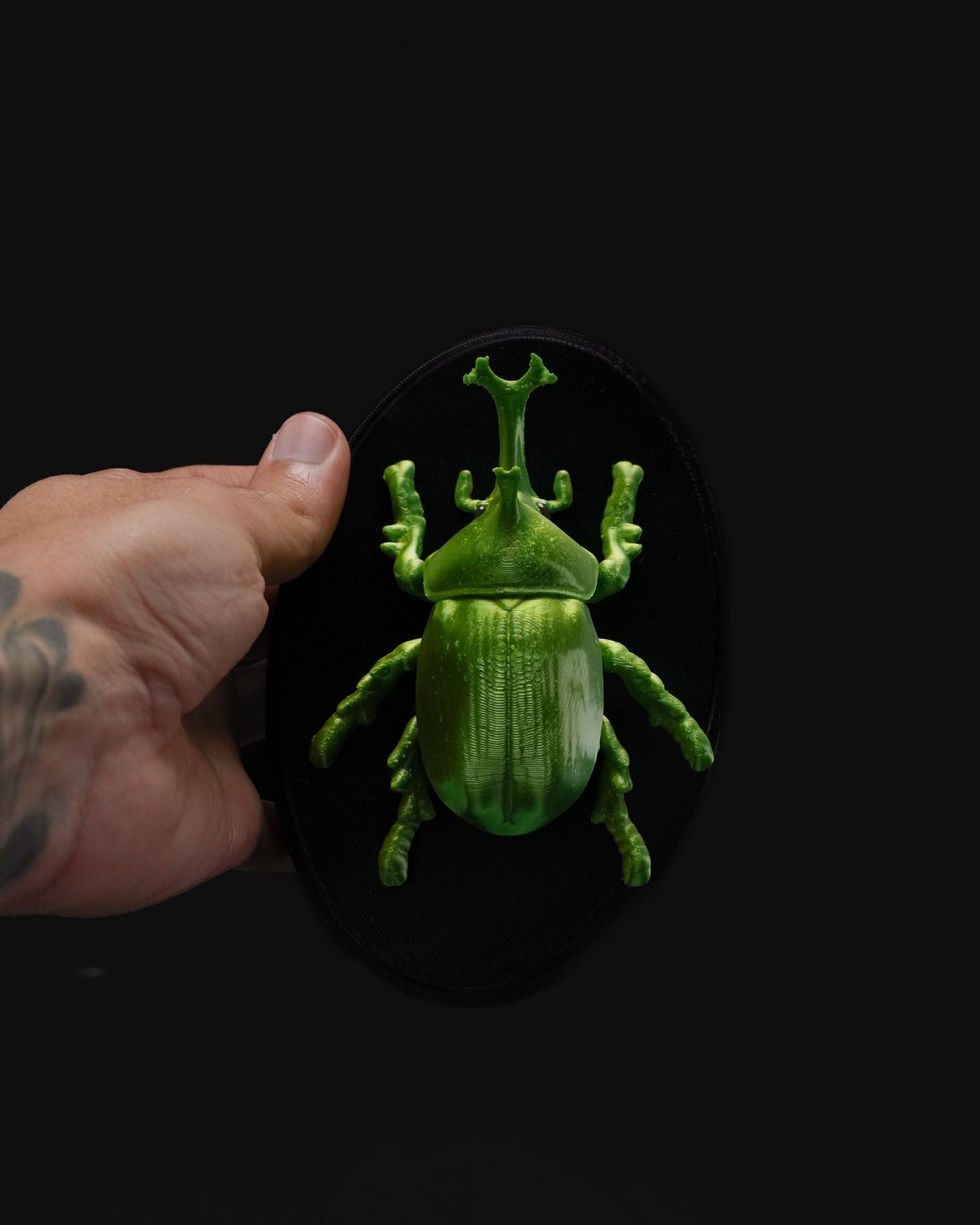 0714 - Beetles on the Wall Rhino