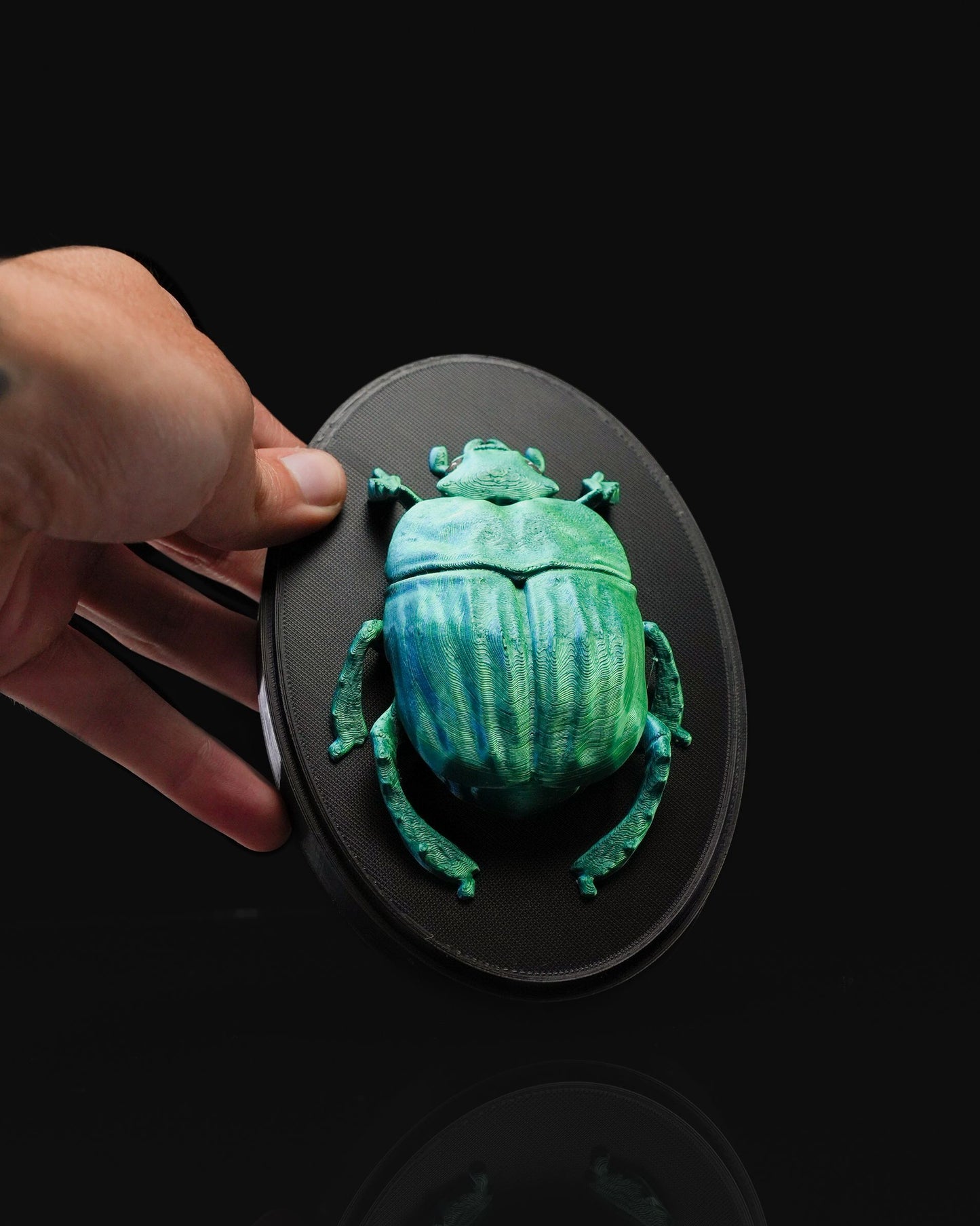 0712 - Beetles on the Wall Scarab